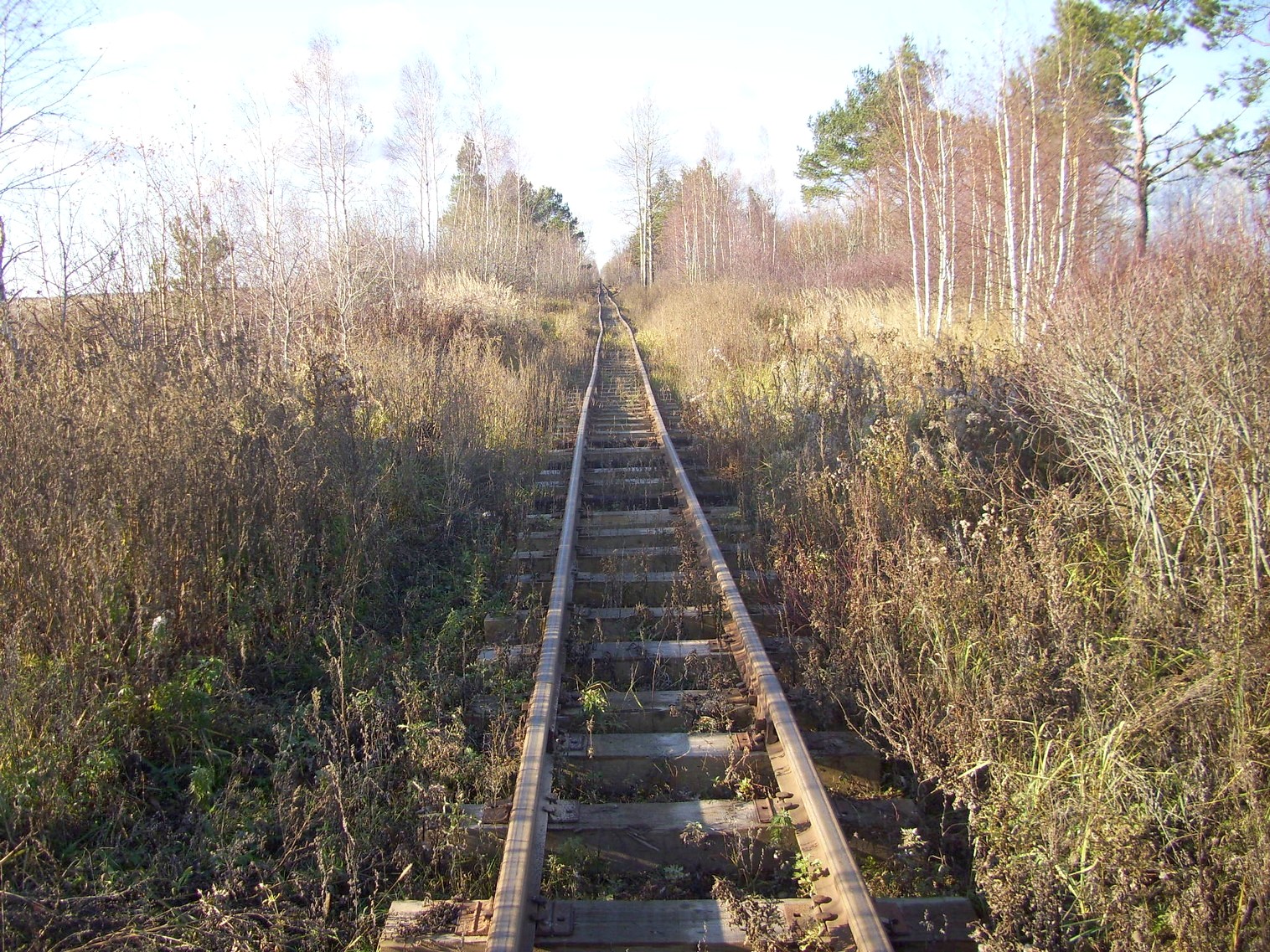 Узкоколейная  железная дорога торфобрикетного завода Березино —  фотографии, сделанные в 2011 году (часть 7)