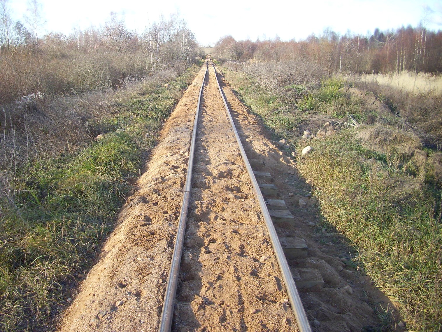 Узкоколейная  железная дорога торфобрикетного завода Березино —  фотографии, сделанные в 2011 году (часть 5)