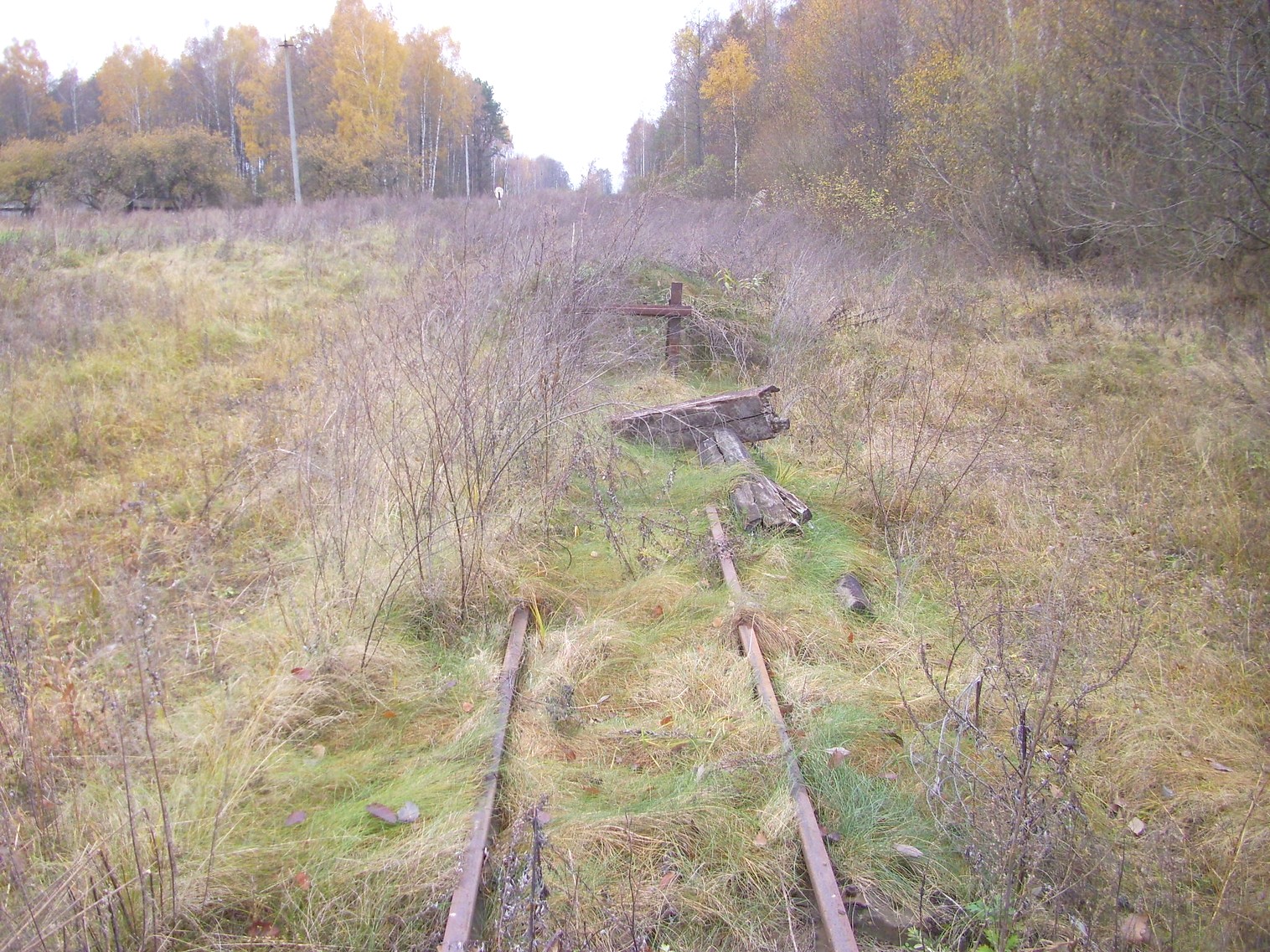 Узкоколейная  железная дорога торфопредприятия «Дитва»   —  фотографии, сделанные в 2011 году (часть 19)