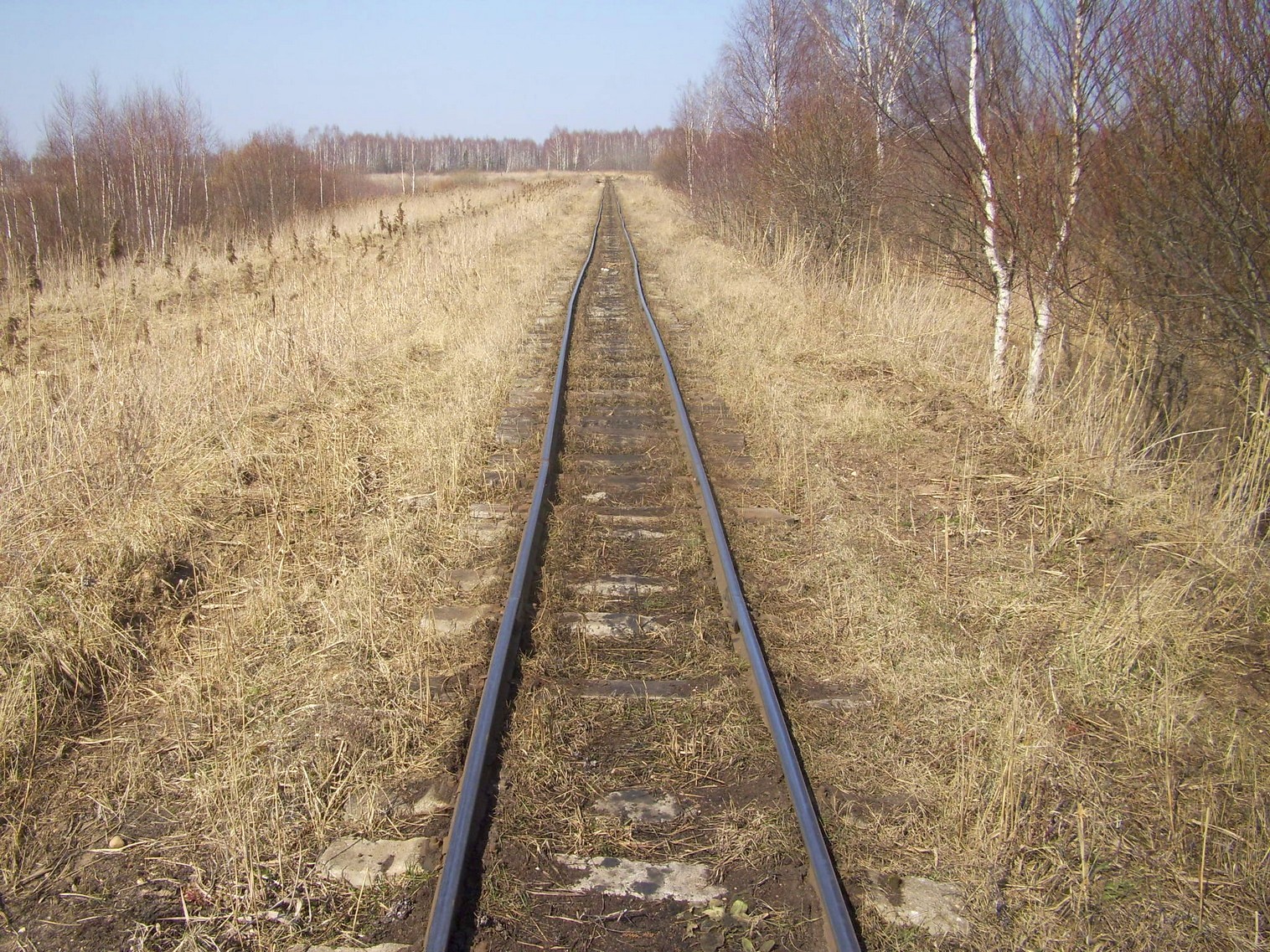 Узкоколейная железная дорога Ганцевичского торфопредприятия — фотографии, сделанные в 2012 году (часть 9)
