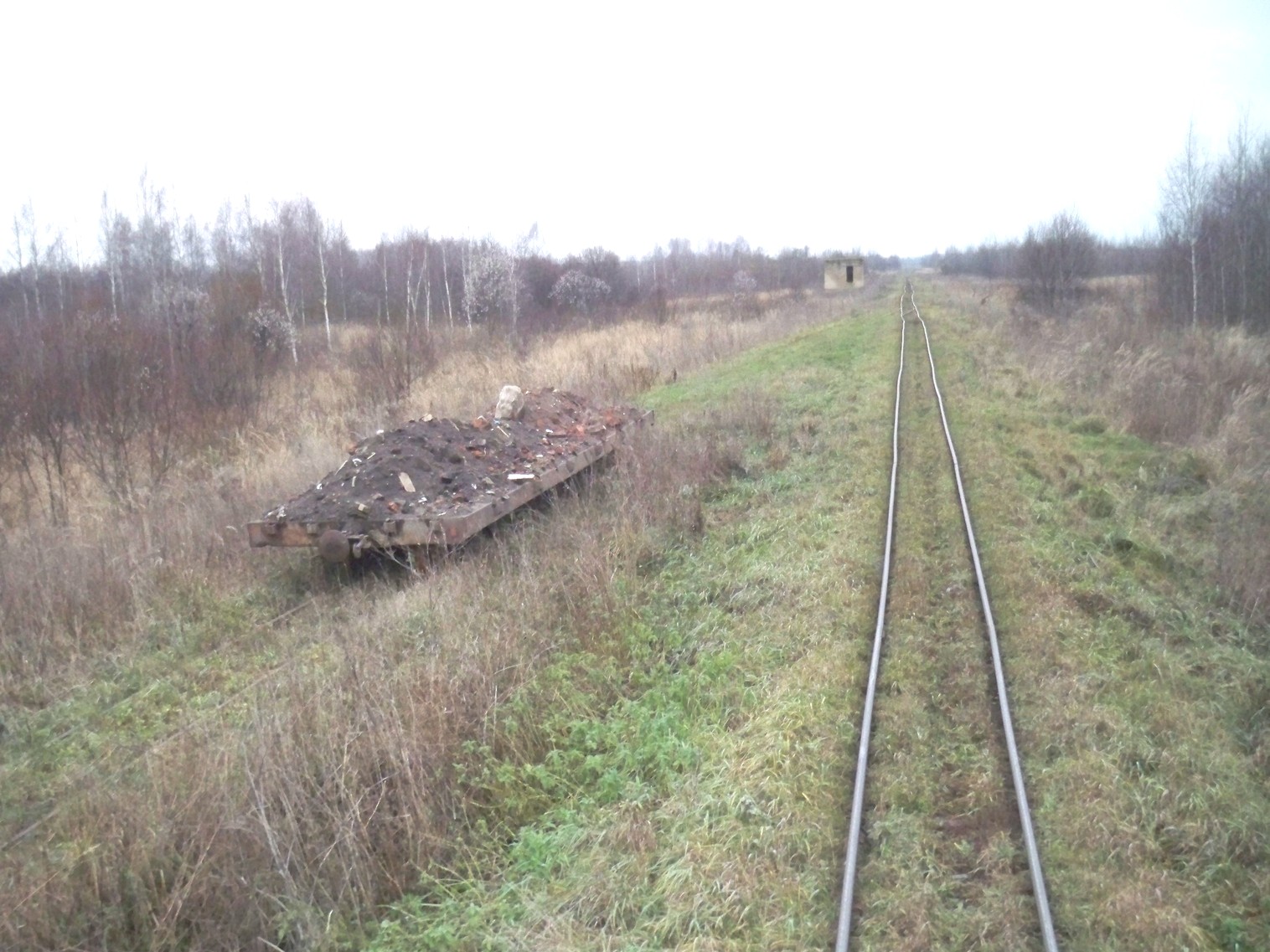 Узкоколейная железная дорога Хойникского торфопредприятия
  —  фотографии, сделанные в 2012 году (часть 6)