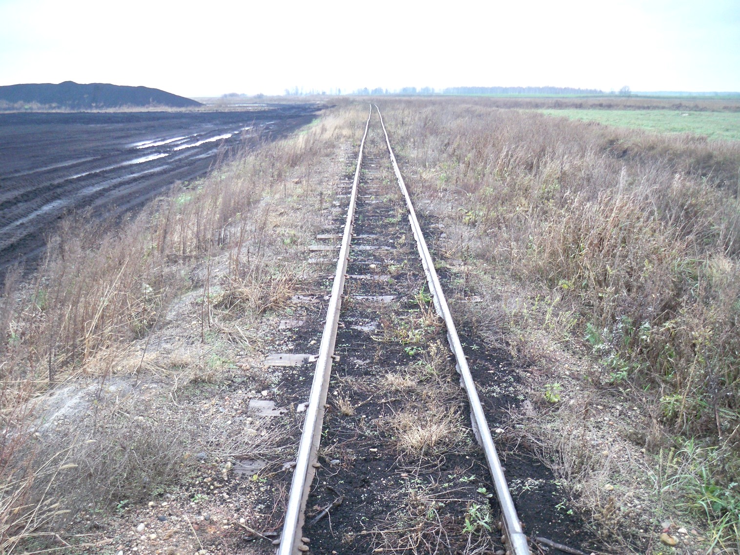 Узкоколейная железная дорога Хойникского торфопредприятия
  —  фотографии, сделанные в 2012 году (часть 12)
