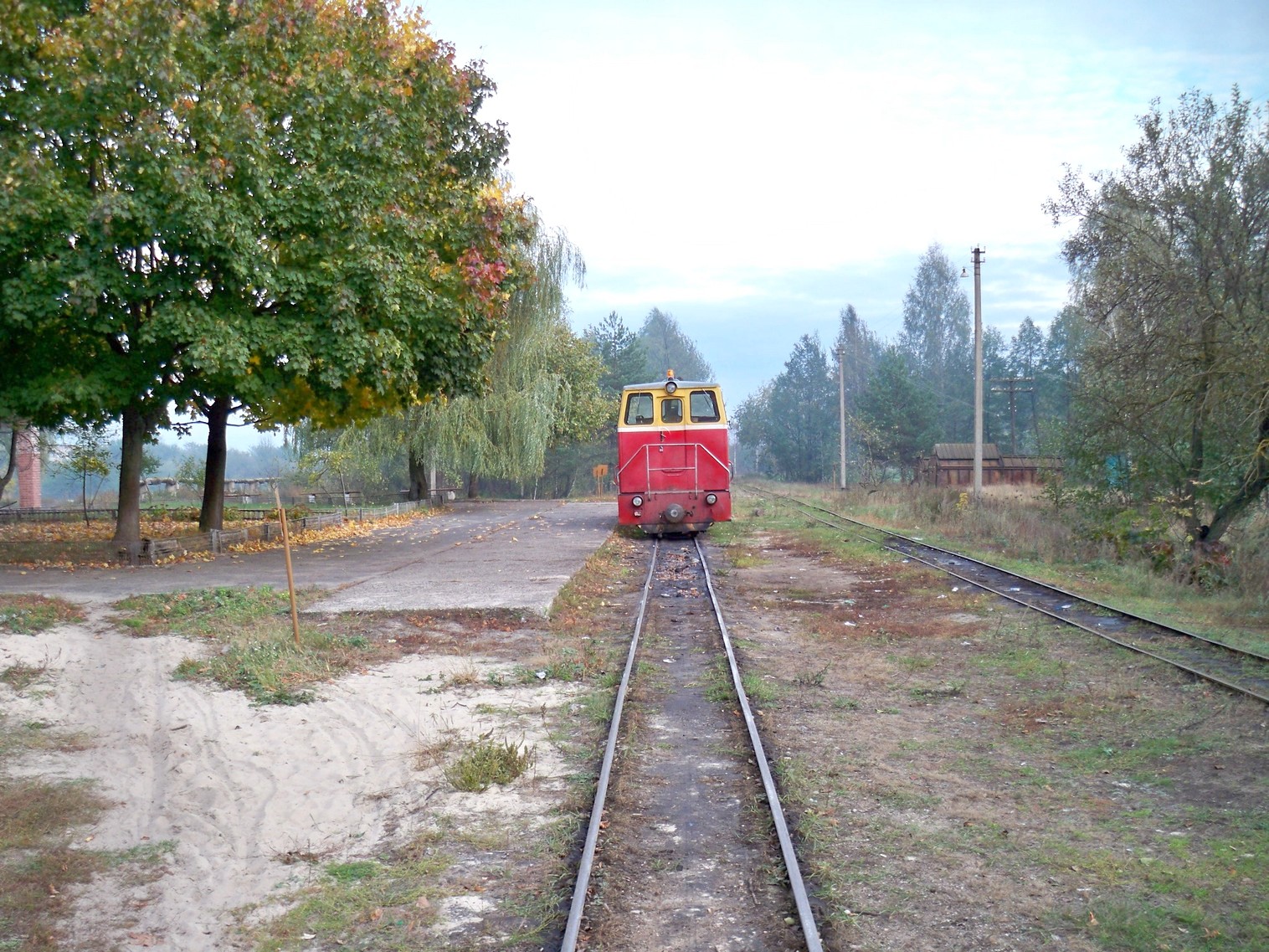 Узкоколейная  железная дорога Житковичского торфопредприятия  —  фотографии, сделанные в 2012 году (часть 11)