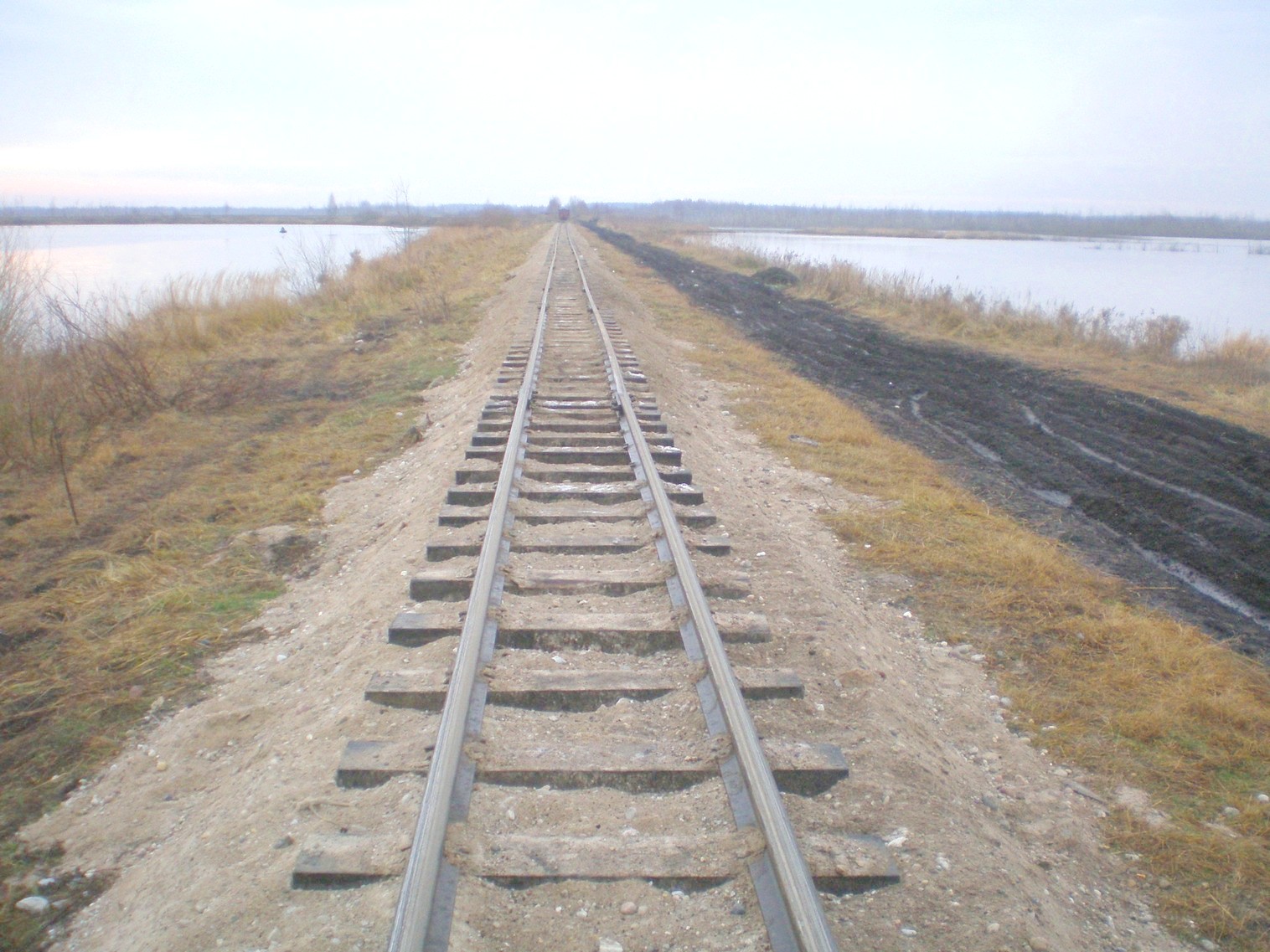 Узкоколейная  железная дорога Лидского торфопредприятия   —  фотографии, сделанные в 2008 году (часть 9)
