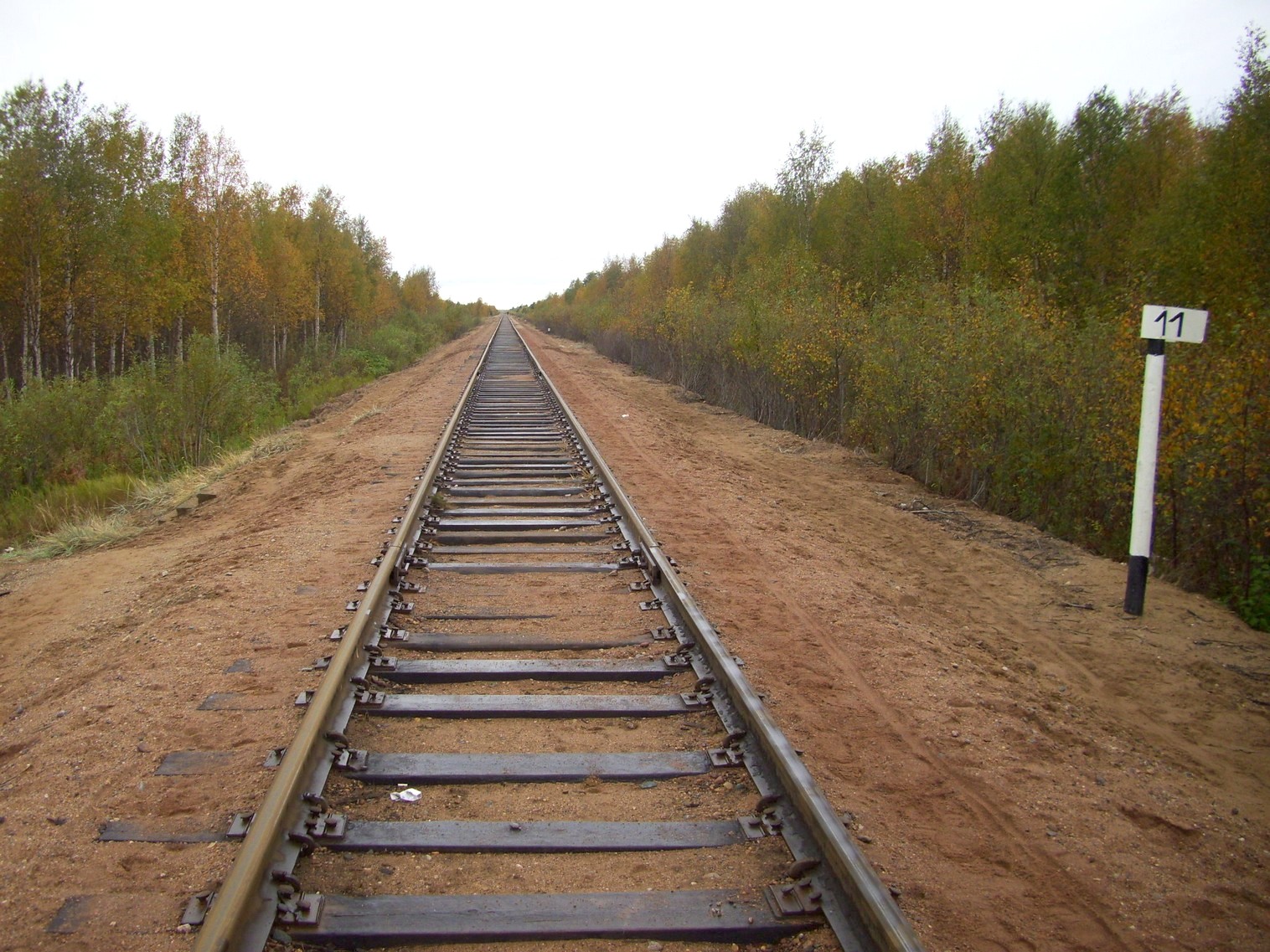 Железнодорожная линия Исакогорка — Северодвинск — Нёнокса
  —  фотографии, сделанные в 2010 году (часть 6)