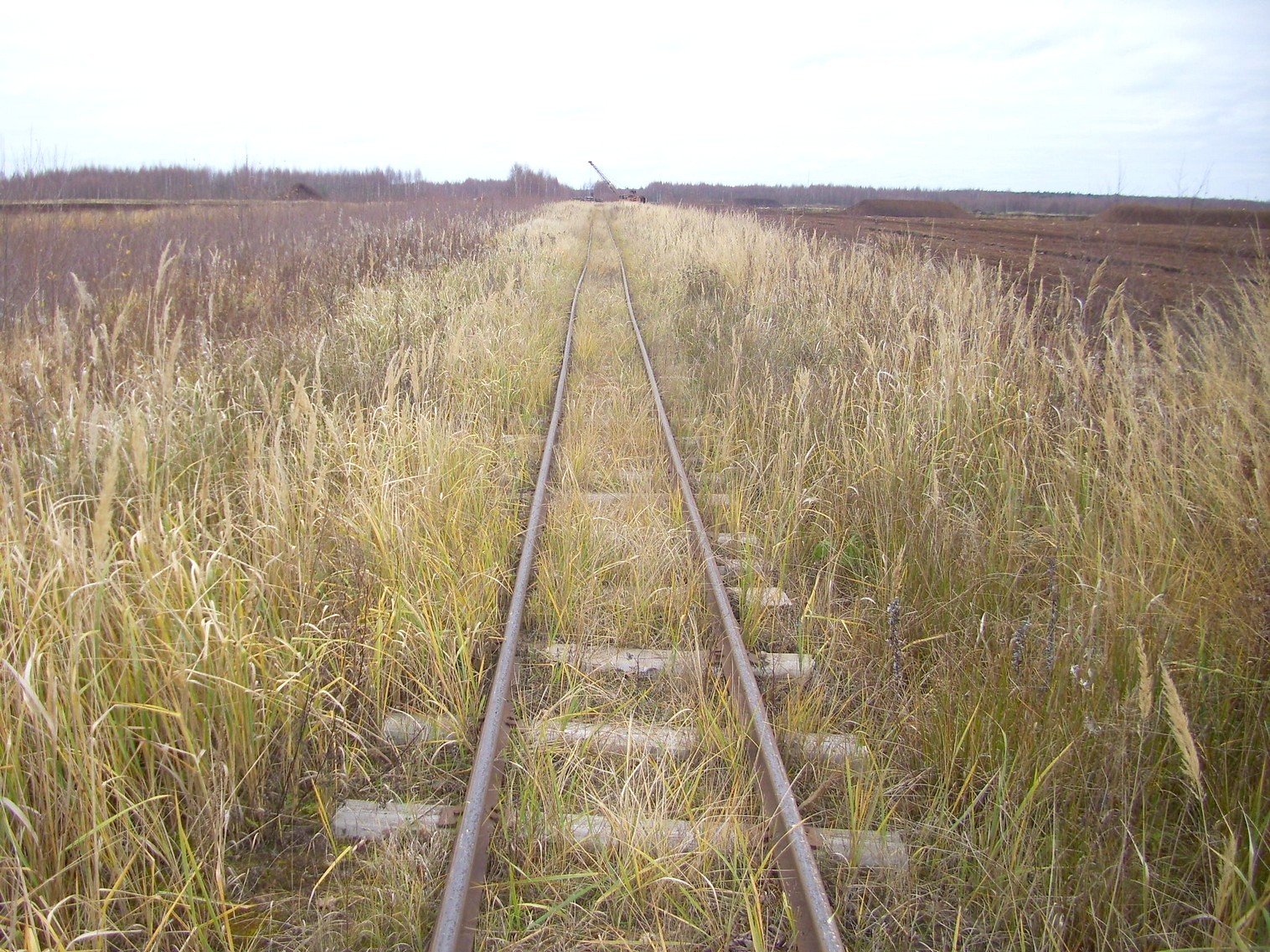 Узкоколейная  железная дорога торфопредприятия «Туршовка» —  фотографии, сделанные в 2011 году (часть 5)
