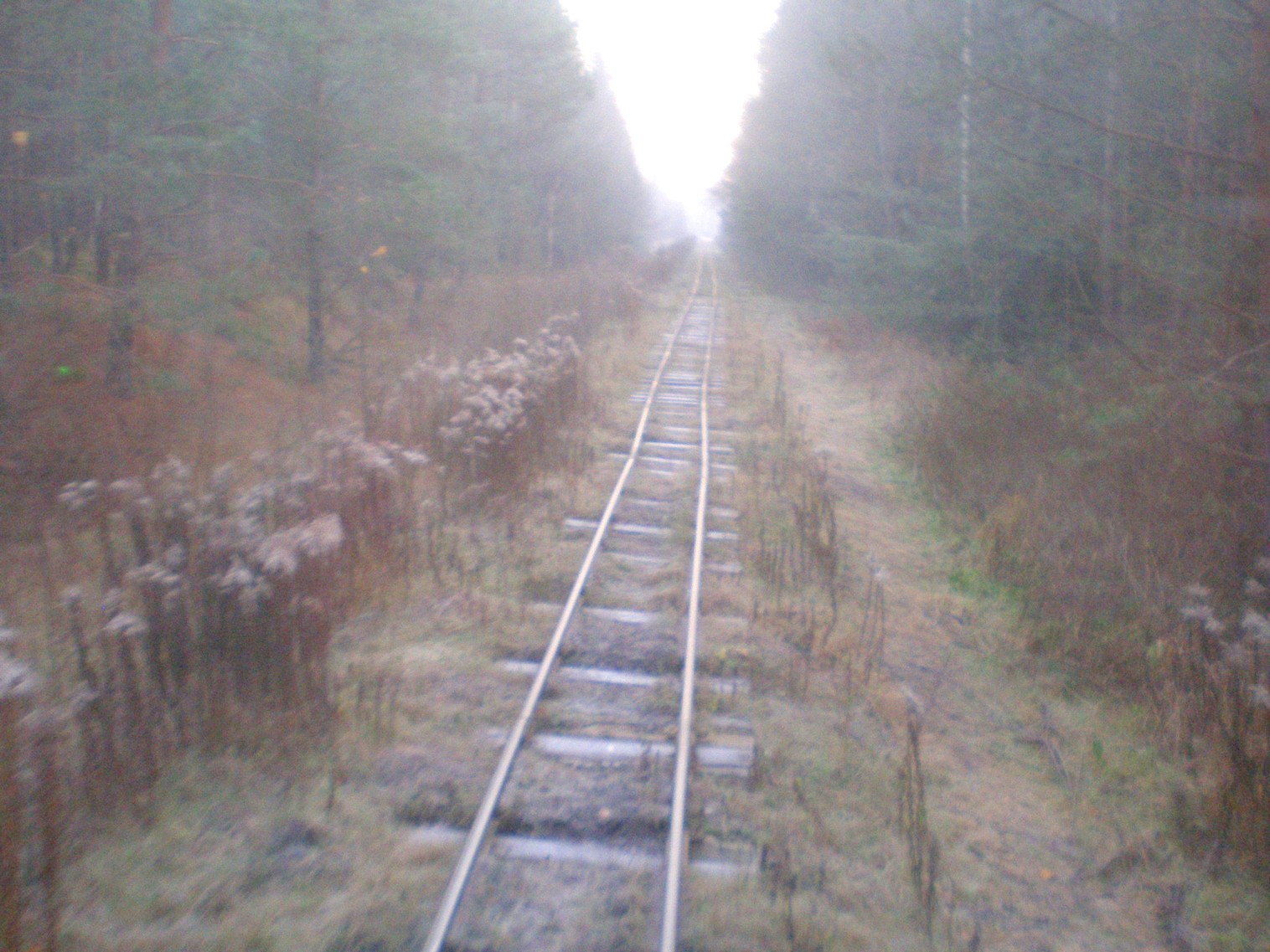 Узкоколейная  железная дорога   торфопредприятия «Усяж» —  фотографии, сделанные в 2008 году (часть 2)
