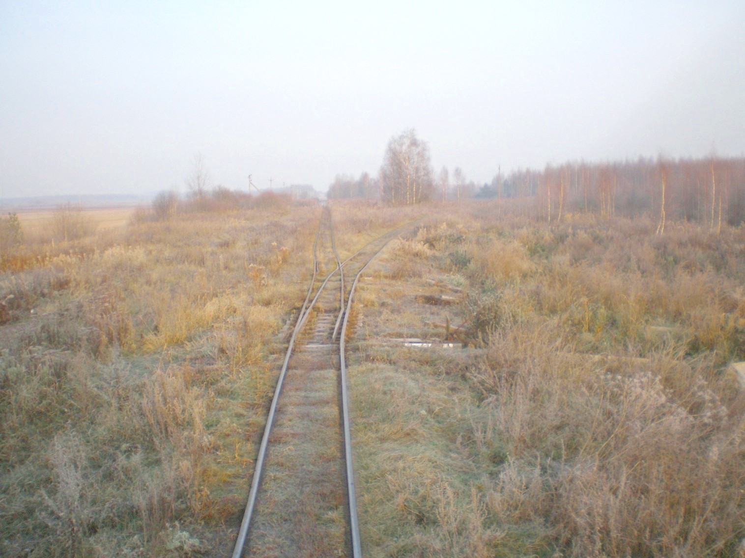 Узкоколейная  железная дорога   торфопредприятия «Усяж» —  фотографии, сделанные в 2008 году (часть 4)