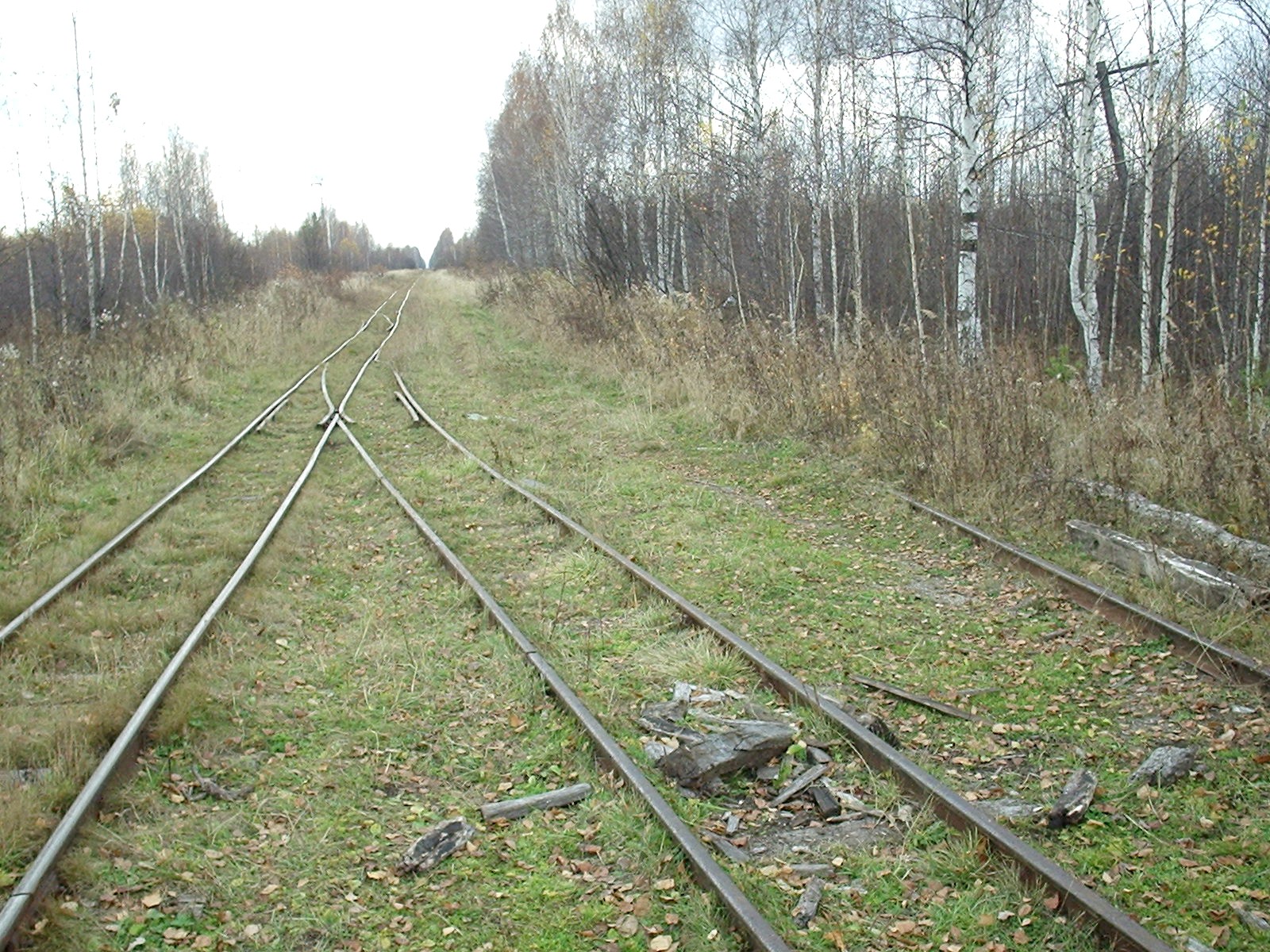Узкоколейная железная дорога Басьяновского торфопредприятия - фотографии (часть 6)