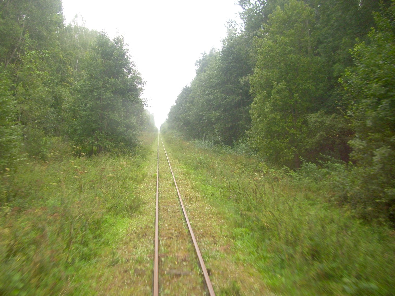 Аукштайтская узкоколейная железная дорога 
  —  фотографии, сделанные в 2012 году (часть 8)