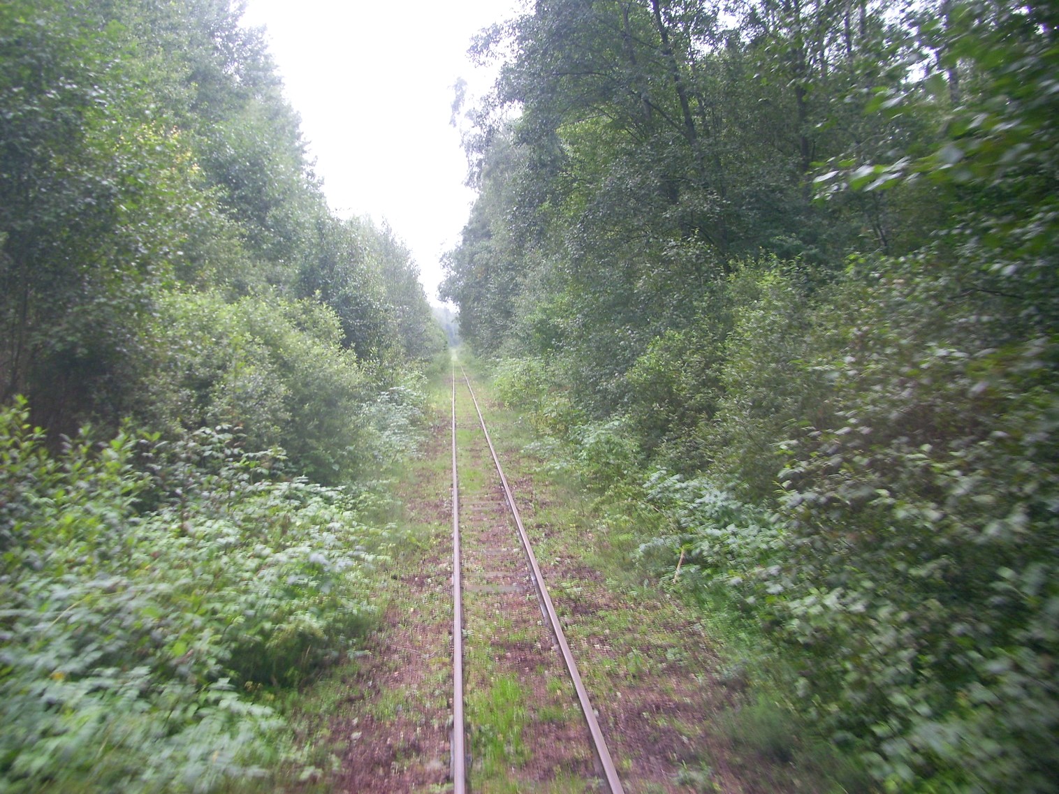 Аукштайтская узкоколейная железная дорога 
  —  фотографии, сделанные в 2012 году (часть 9)