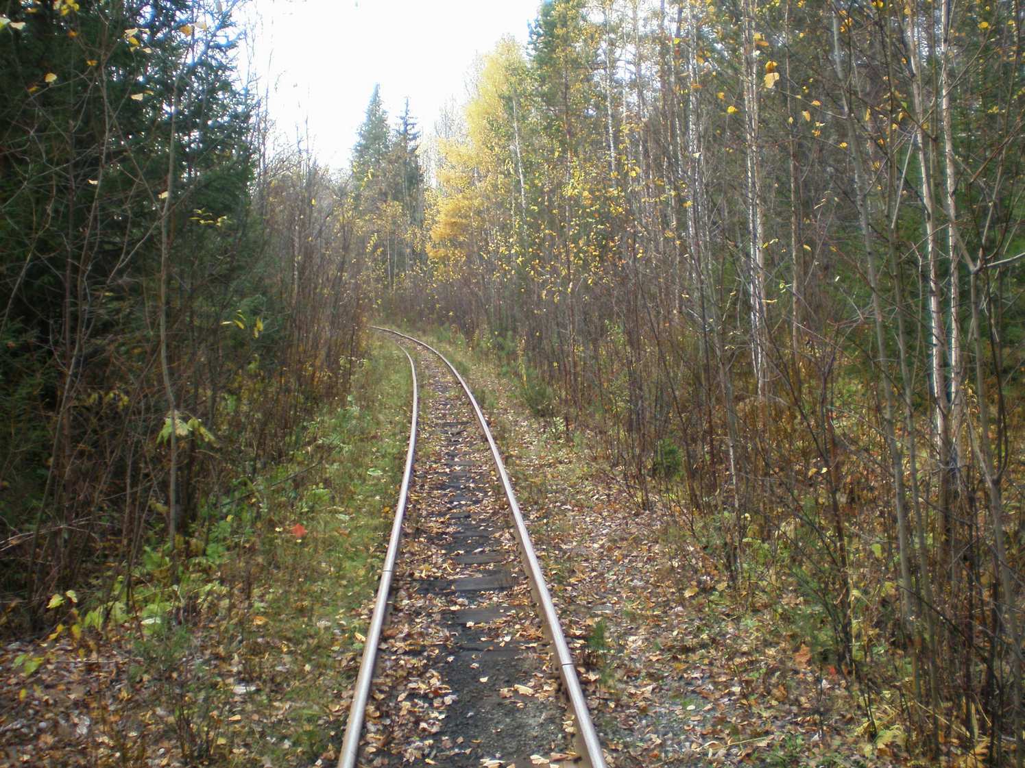 Висимо-Уткинская узкоколейная железная дорога  — фотографии, сделанные в 2007 году (часть 6)