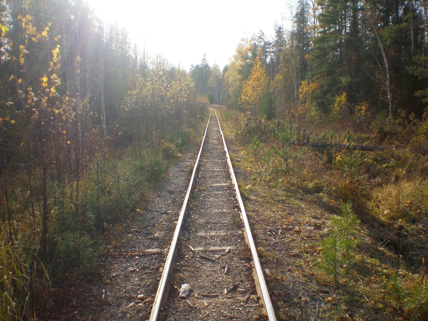 Висимо-Уткинская узкоколейная железная дорога  — фотографии, сделанные в 2007 году (часть 7)