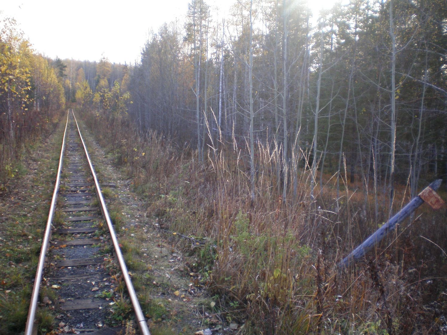 Висимо-Уткинская узкоколейная железная дорога  — фотографии, сделанные в 2007 году (часть 9)