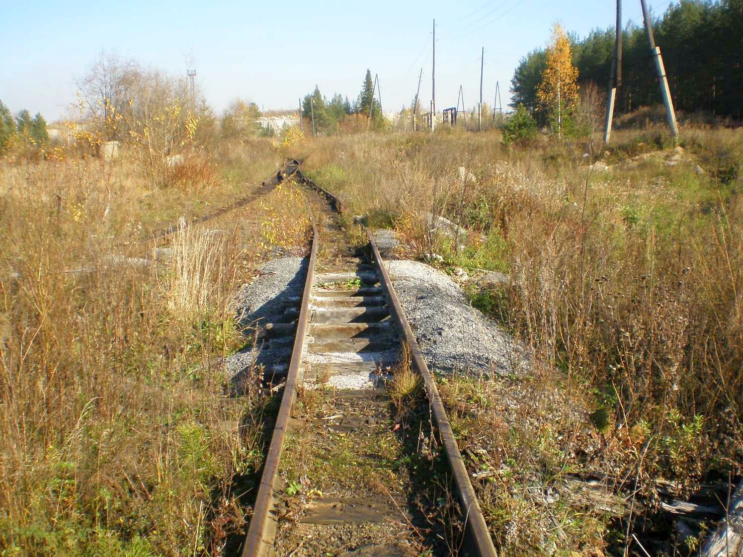 Висимо-Уткинская узкоколейная железная дорога  — фотографии, сделанные в 2007 году (часть 32)