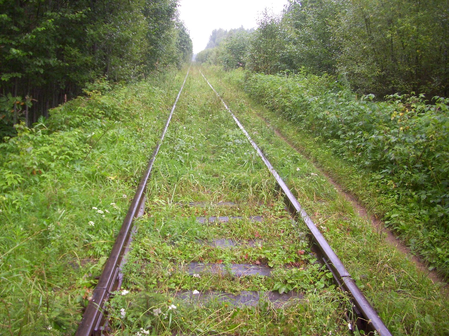 Шортюгская железная дорога
  —  фотографии, сделанные в 2012 году (часть 9)