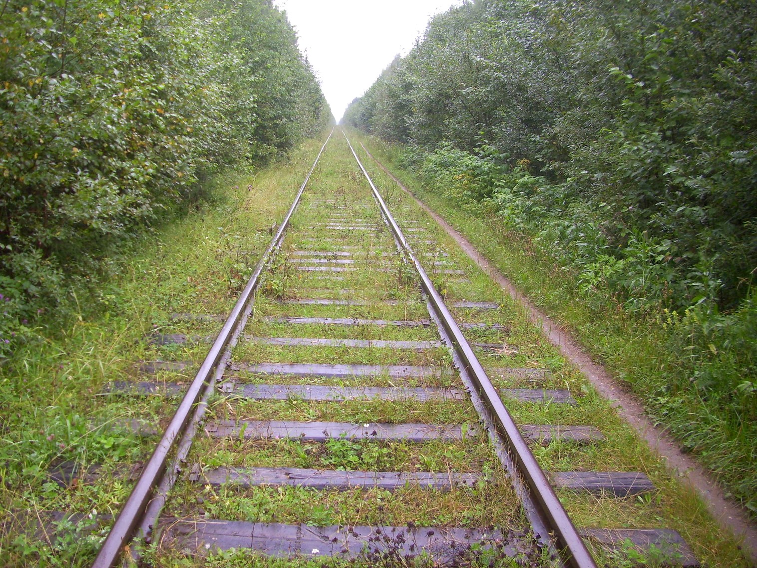 Шортюгская железная дорога
  —  фотографии, сделанные в 2012 году (часть 10)