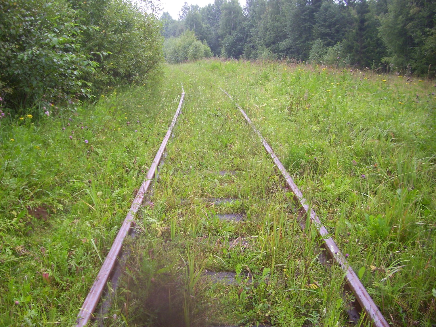 Шортюгская железная дорога
  —  фотографии, сделанные в 2012 году (часть 14)