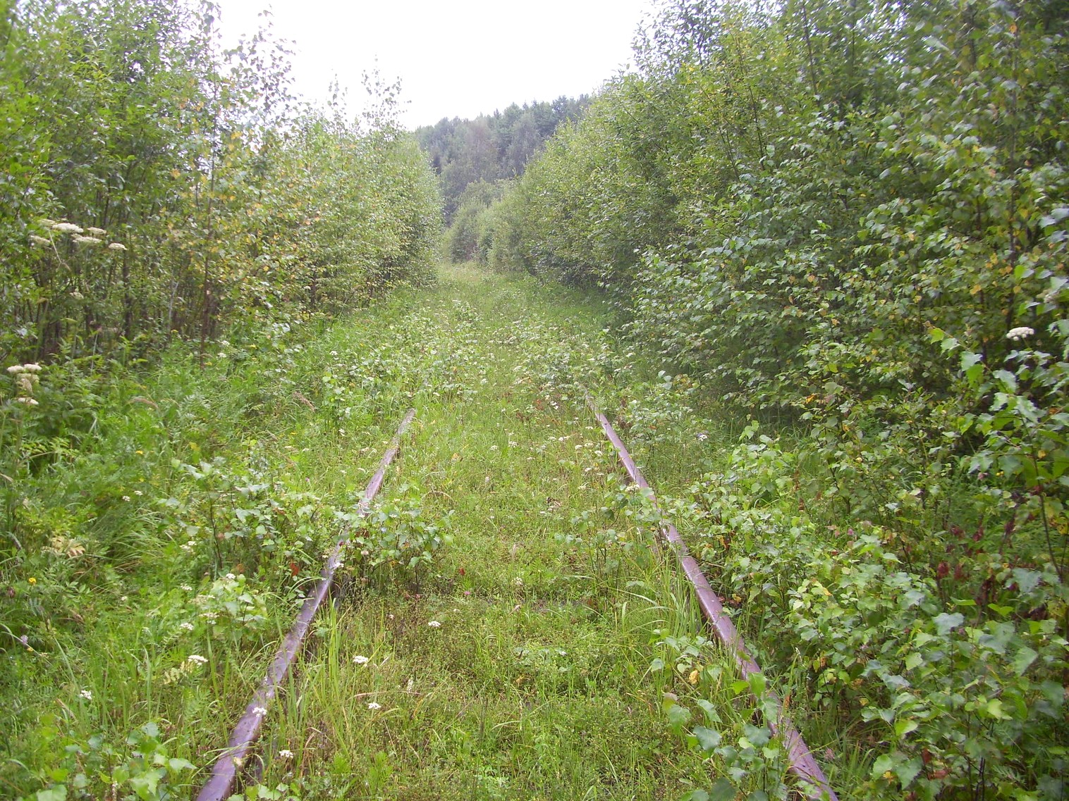 Шортюгская железная дорога
  —  фотографии, сделанные в 2012 году (часть 15)