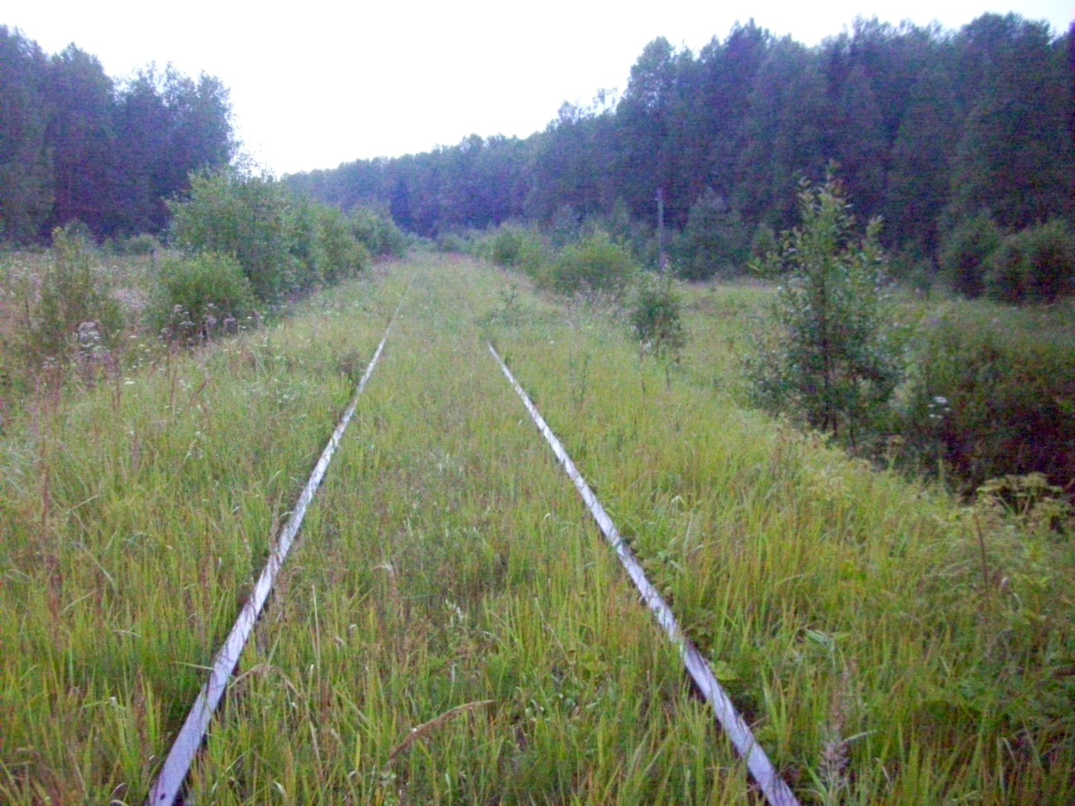 Шортюгская железная дорога
  —  фотографии, сделанные в 2012 году (часть 19)