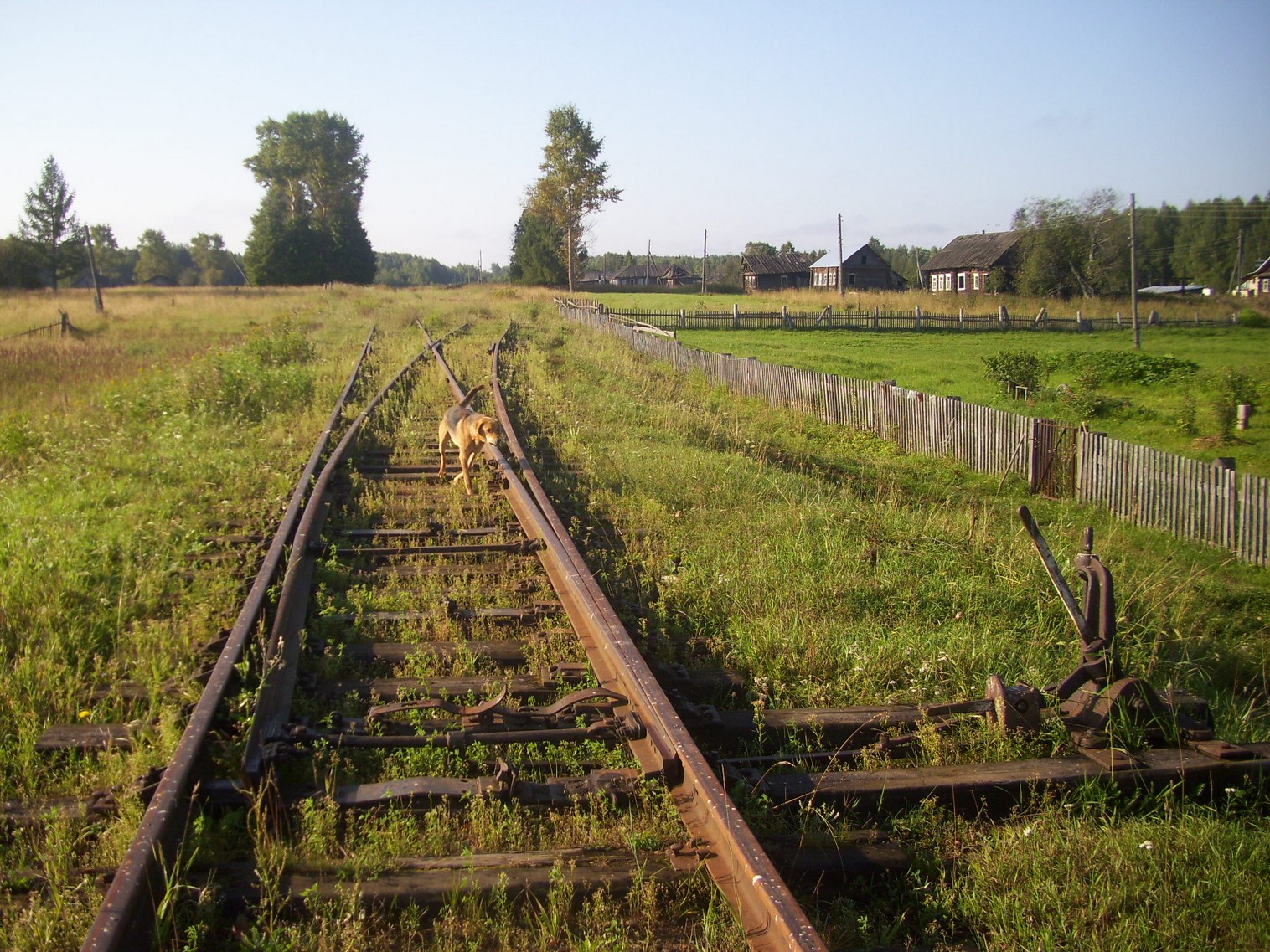 Шортюгская железная дорога
  —  фотографии, сделанные в 2012 году (часть 20)