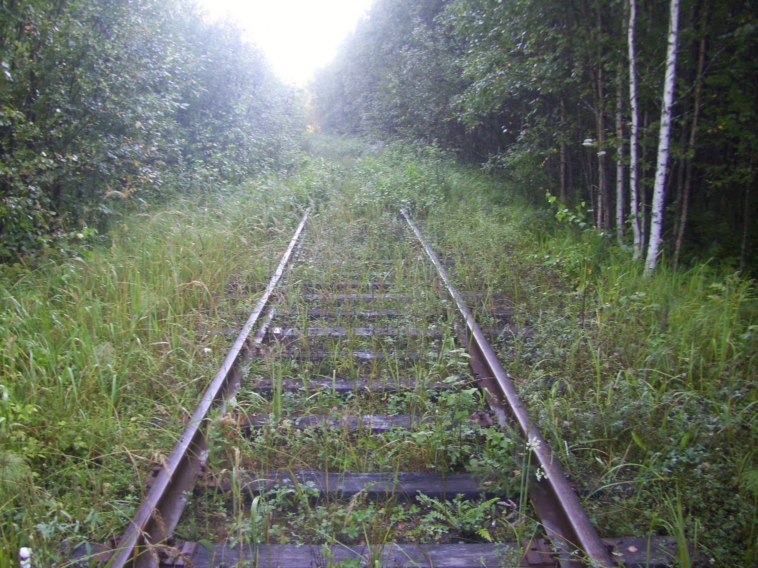 Шортюгская железная дорога
  —  фотографии, сделанные в 2012 году (часть 21)