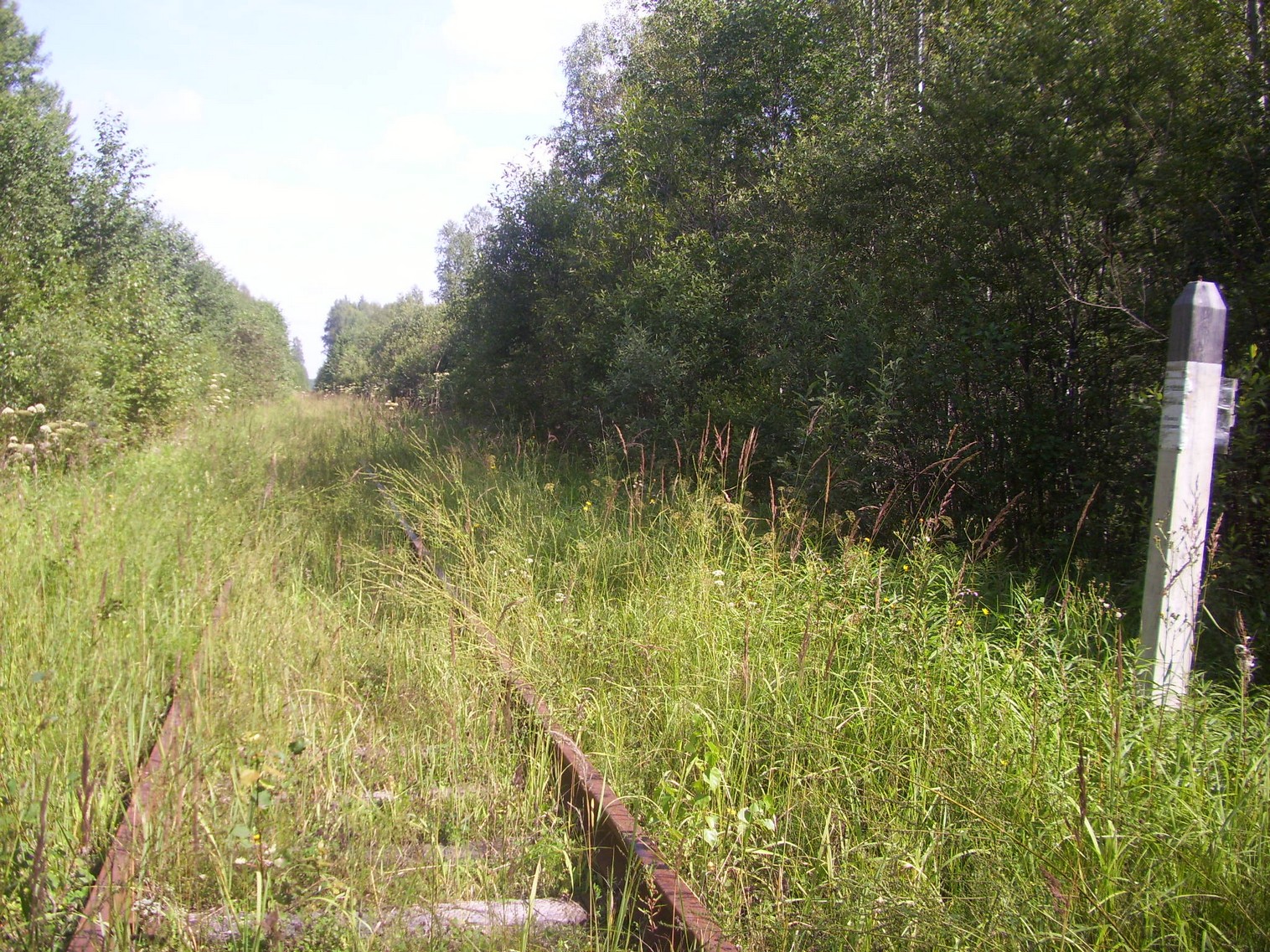 Шортюгская железная дорога
  —  фотографии, сделанные в 2012 году (часть 28)