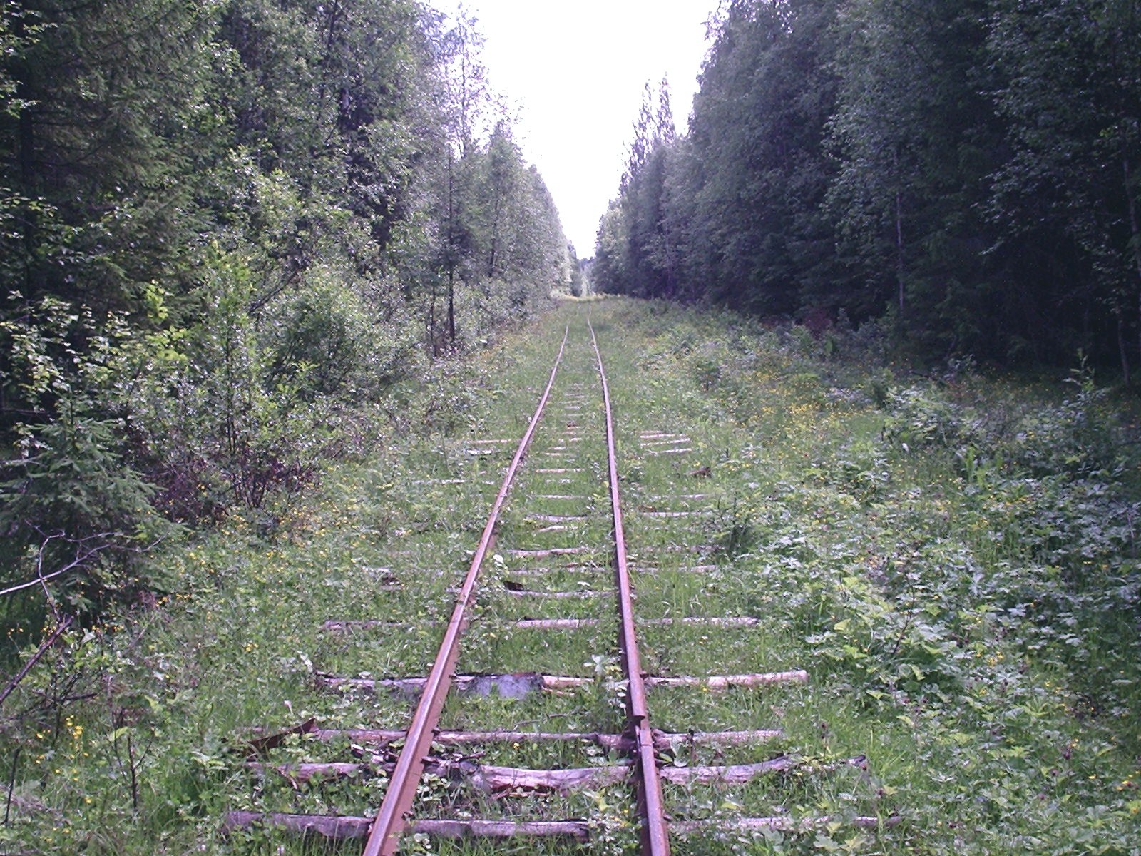 Илезская узкоколейная железная дорога — фотографии, сделанные в 2005 году  (часть 2)