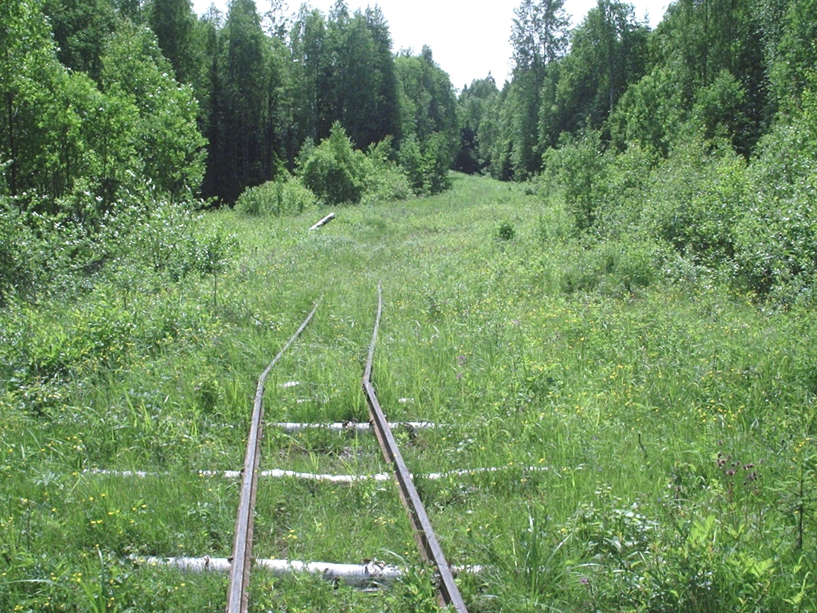 Илезская узкоколейная железная дорога — фотографии, сделанные в 2005 году  (часть 3)