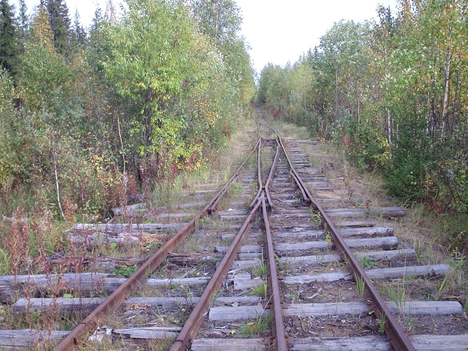 Вёздинская узкоколейная железная дорога - фотографии (часть 5)