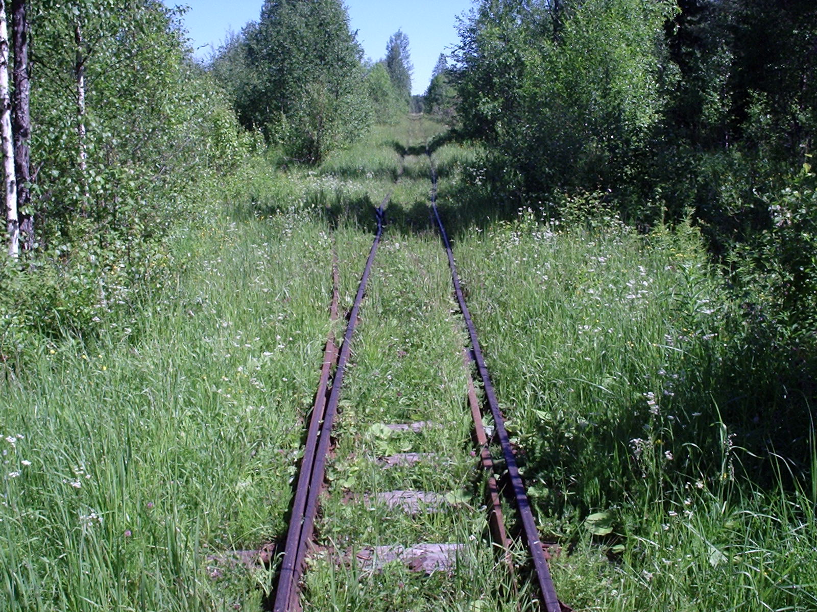 Киземская узкоколейная железная дорога — фотографии, сделанные в 2005 году  (часть 2)