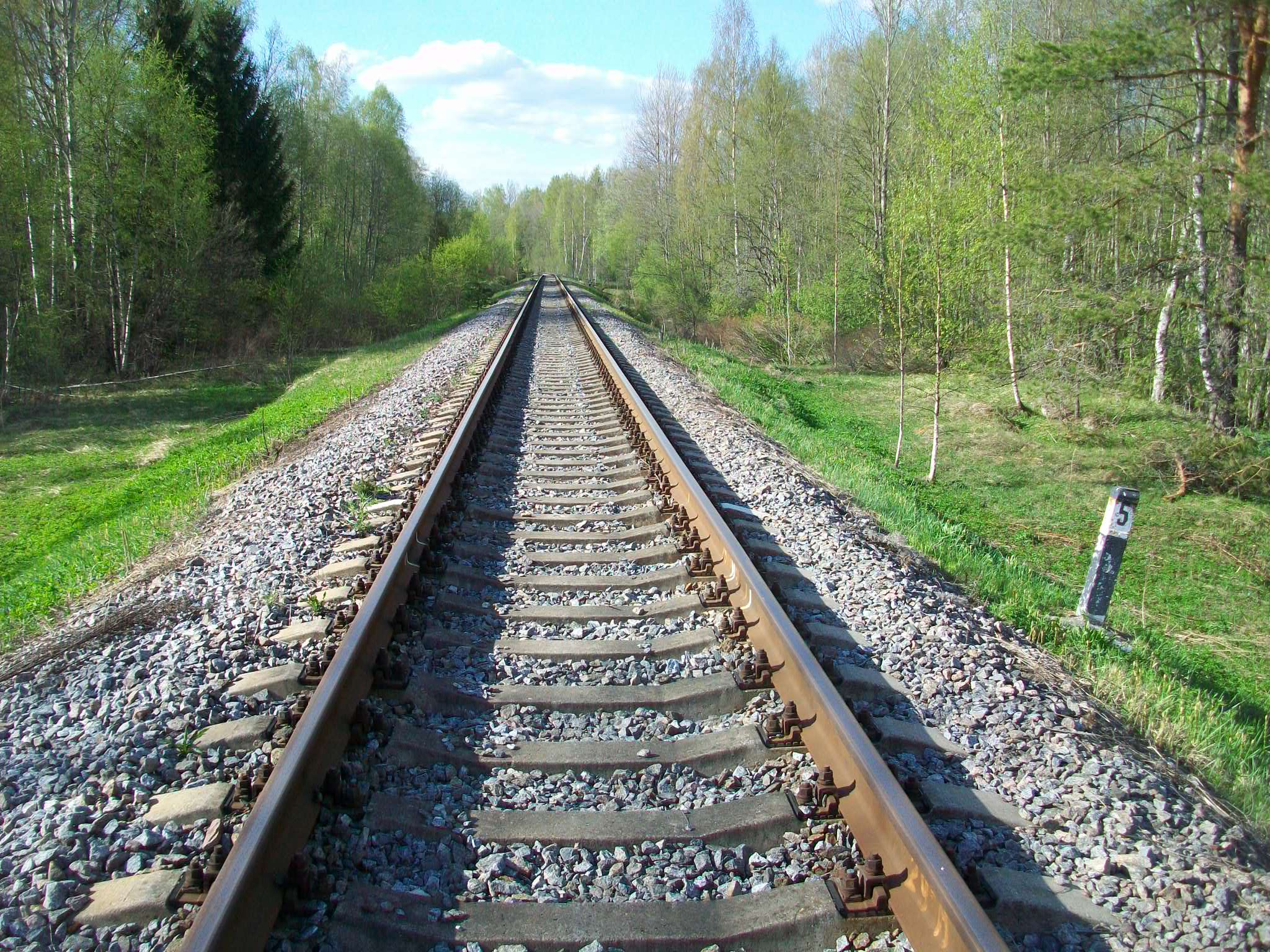 Железнодорожная линия Валдай — Крестцы 
  —  фотографии, сделанные в 2015 году (часть 6)
