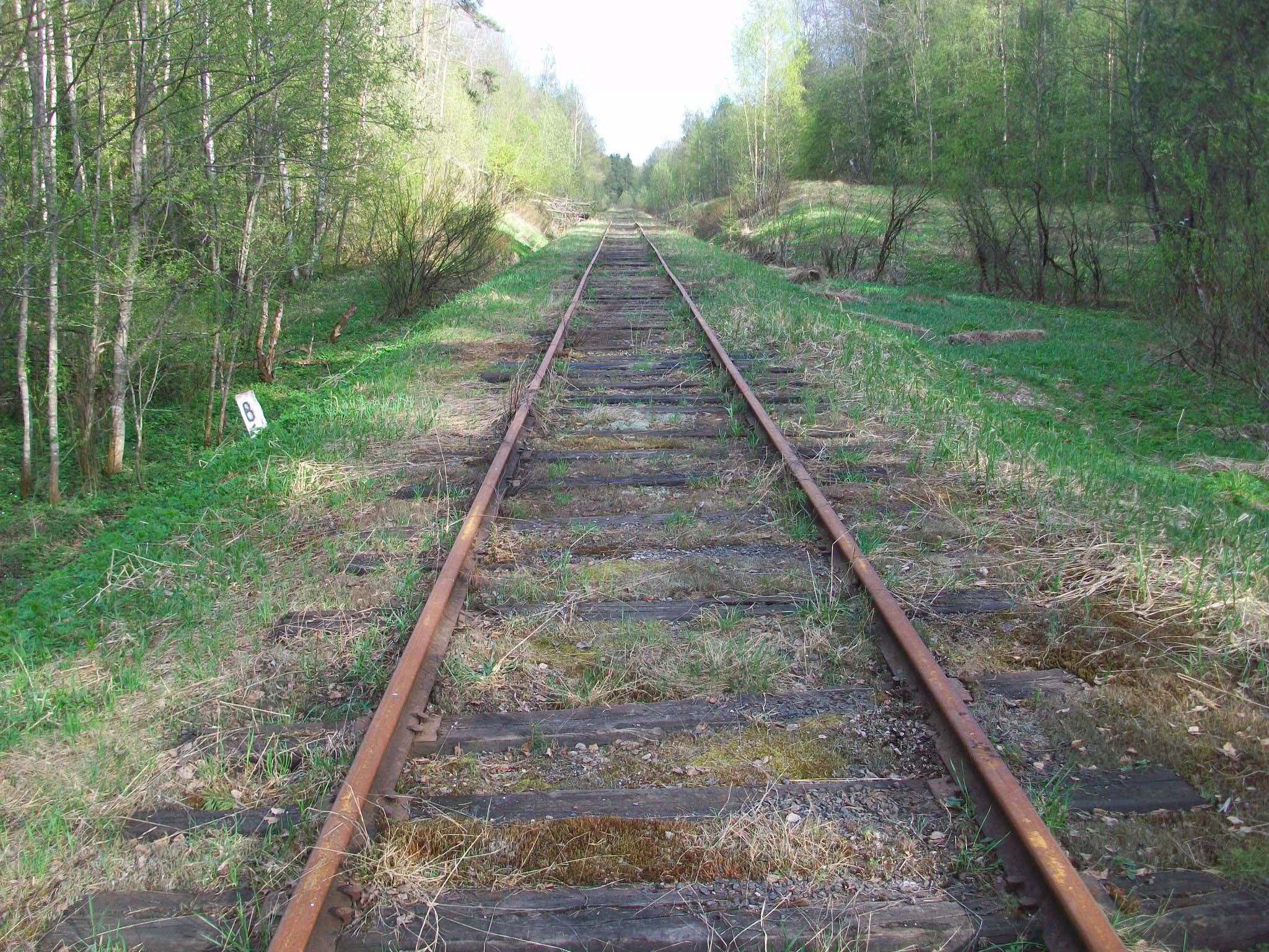 Железнодорожная линия Валдай — Крестцы 
  —  фотографии, сделанные в 2015 году (часть 8)