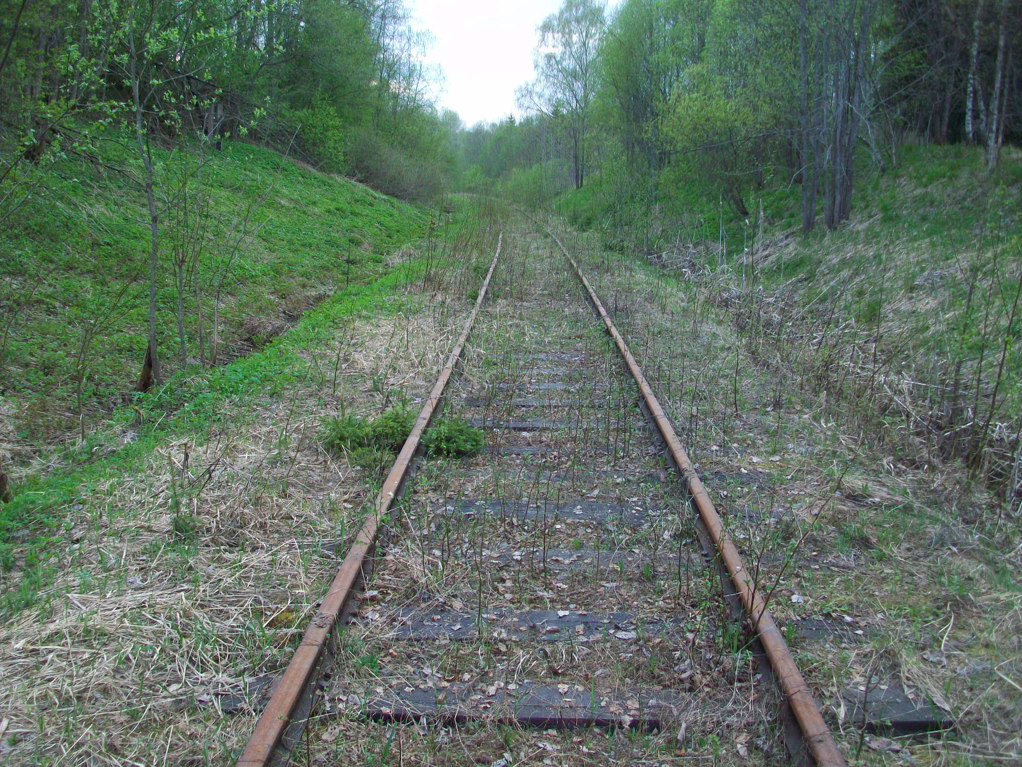 Железнодорожная линия Валдай — Крестцы 
  —  фотографии, сделанные в 2015 году (часть 10)