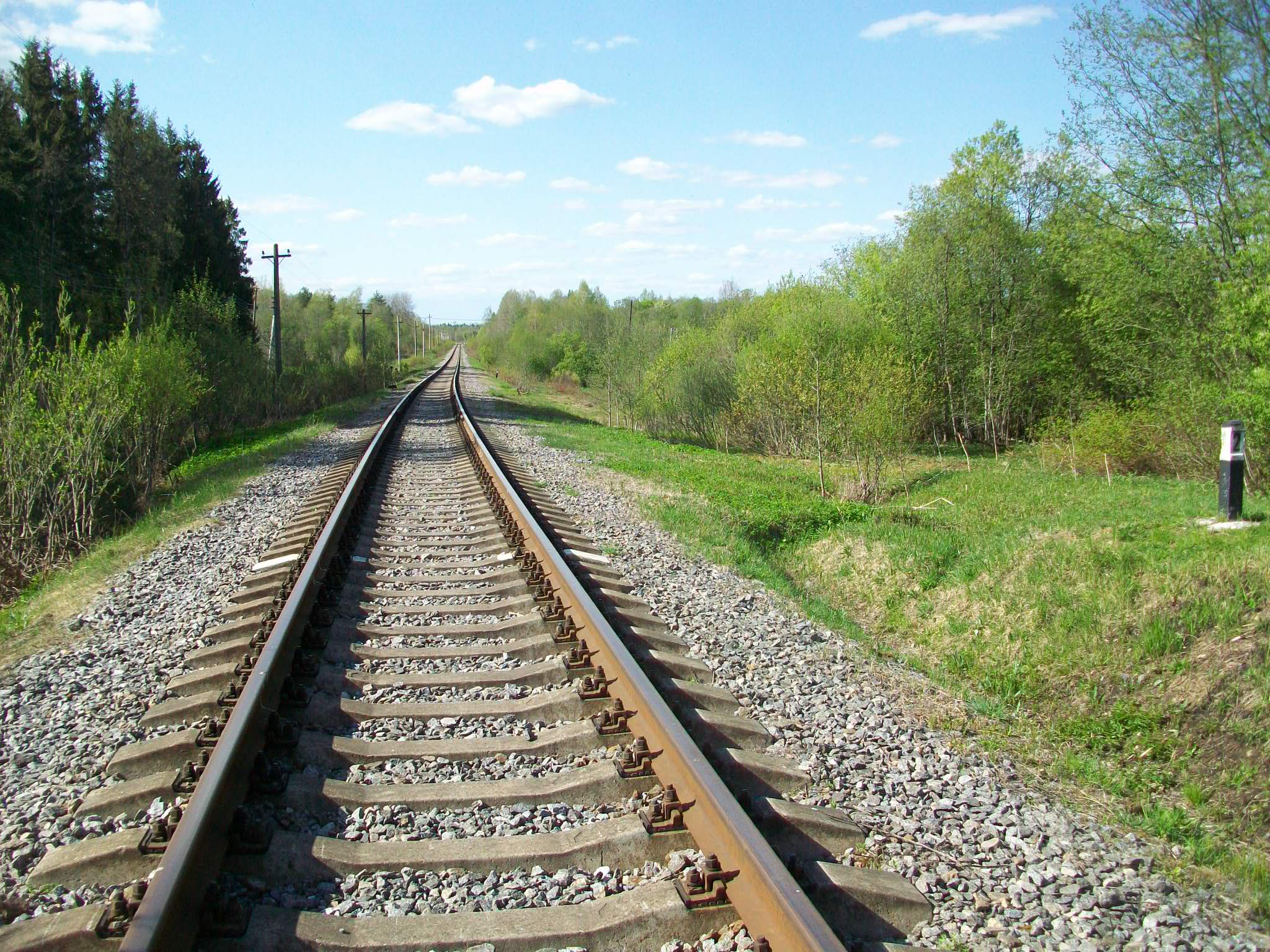 Железнодорожная линия Валдай — Крестцы 
  —  фотографии, сделанные в 2015 году (часть 2)