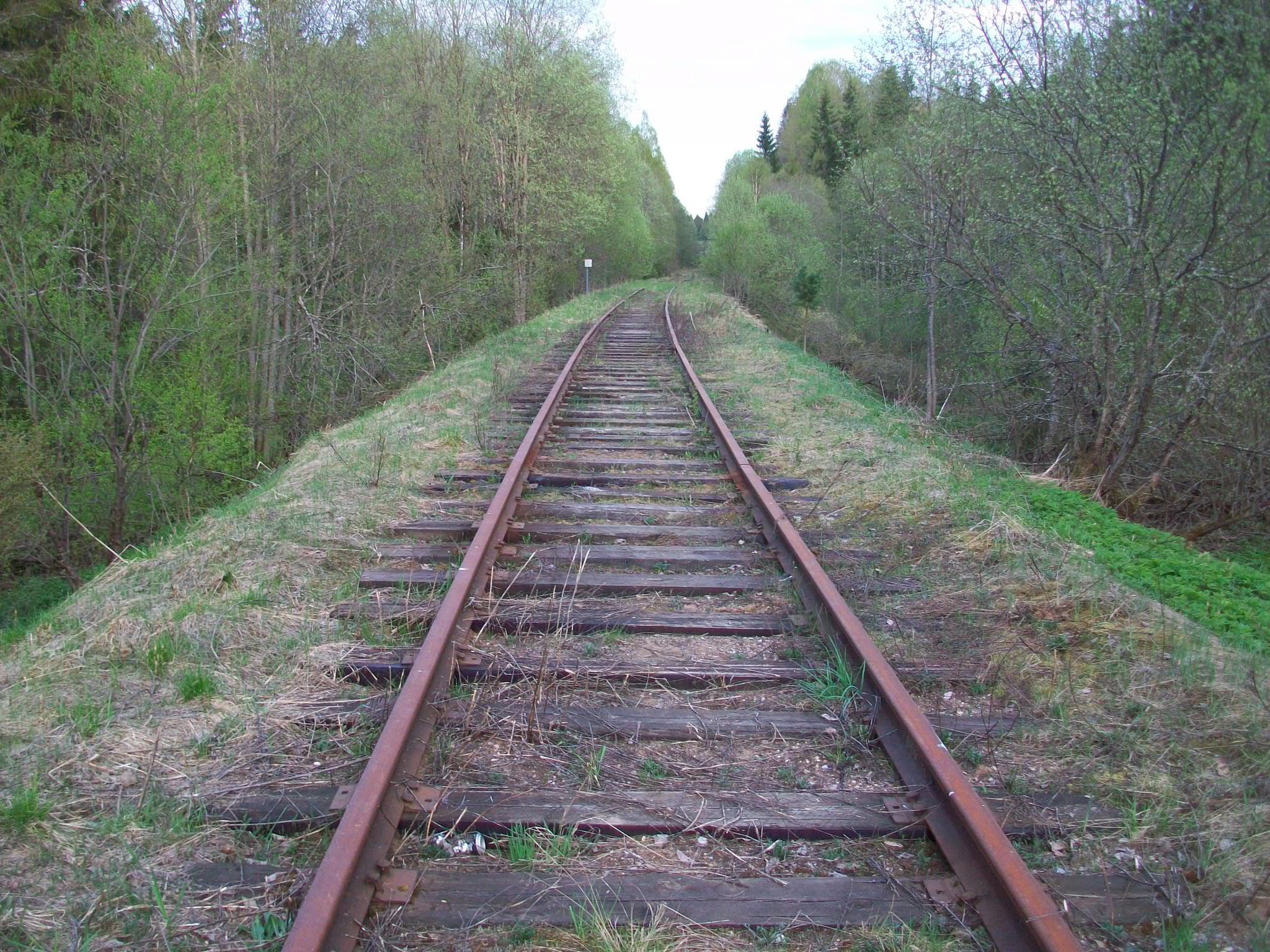 Железнодорожная линия Валдай — Крестцы 
  —  фотографии, сделанные в 2015 году (часть 13)