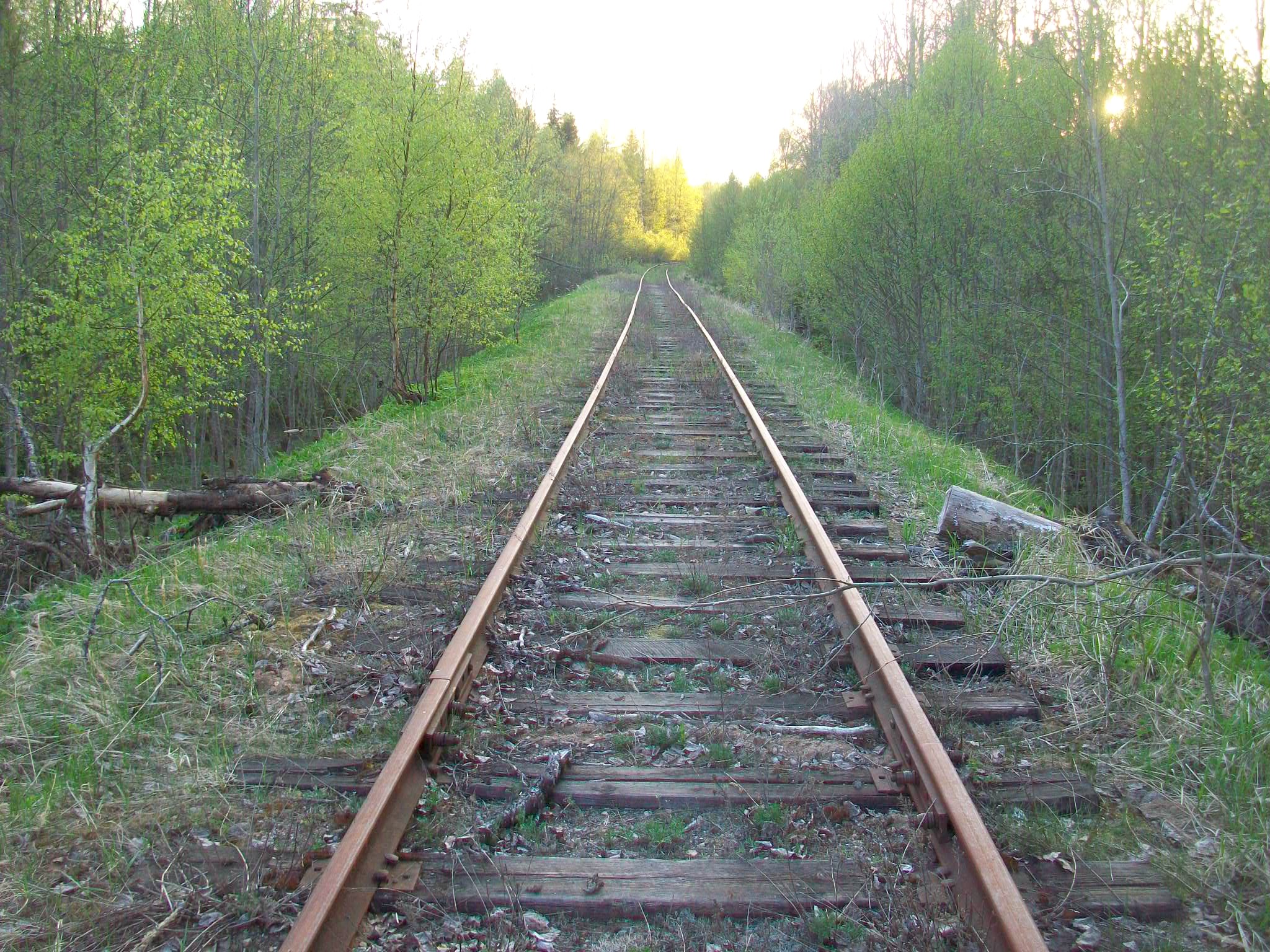 Железнодорожная линия Валдай — Крестцы 
  —  фотографии, сделанные в 2015 году (часть 15)