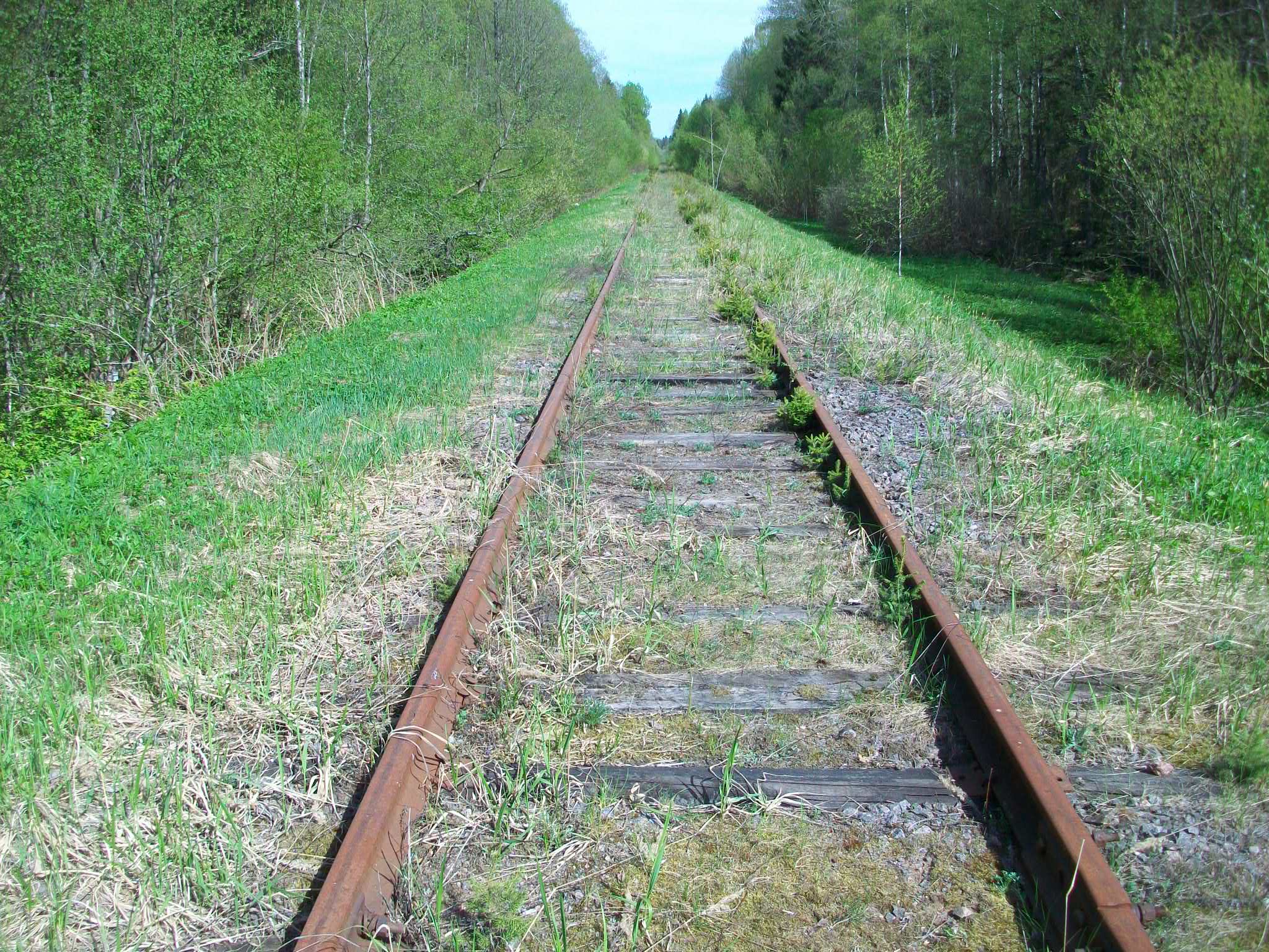 Железнодорожная линия Валдай — Крестцы 
  —  фотографии, сделанные в 2015 году (часть 37)
