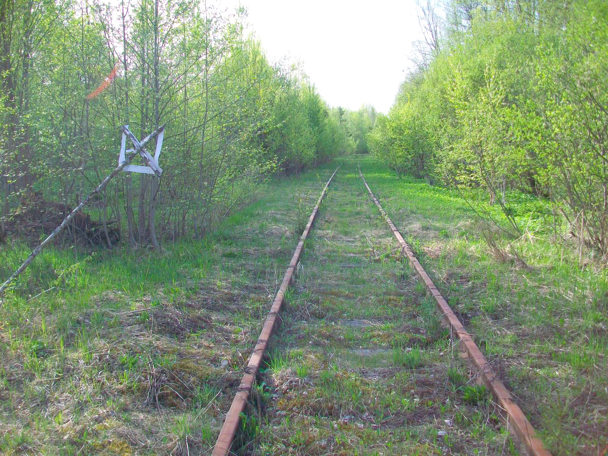 Железнодорожная линия Валдай — Крестцы 
  —  фотографии, сделанные в 2015 году (часть 50)