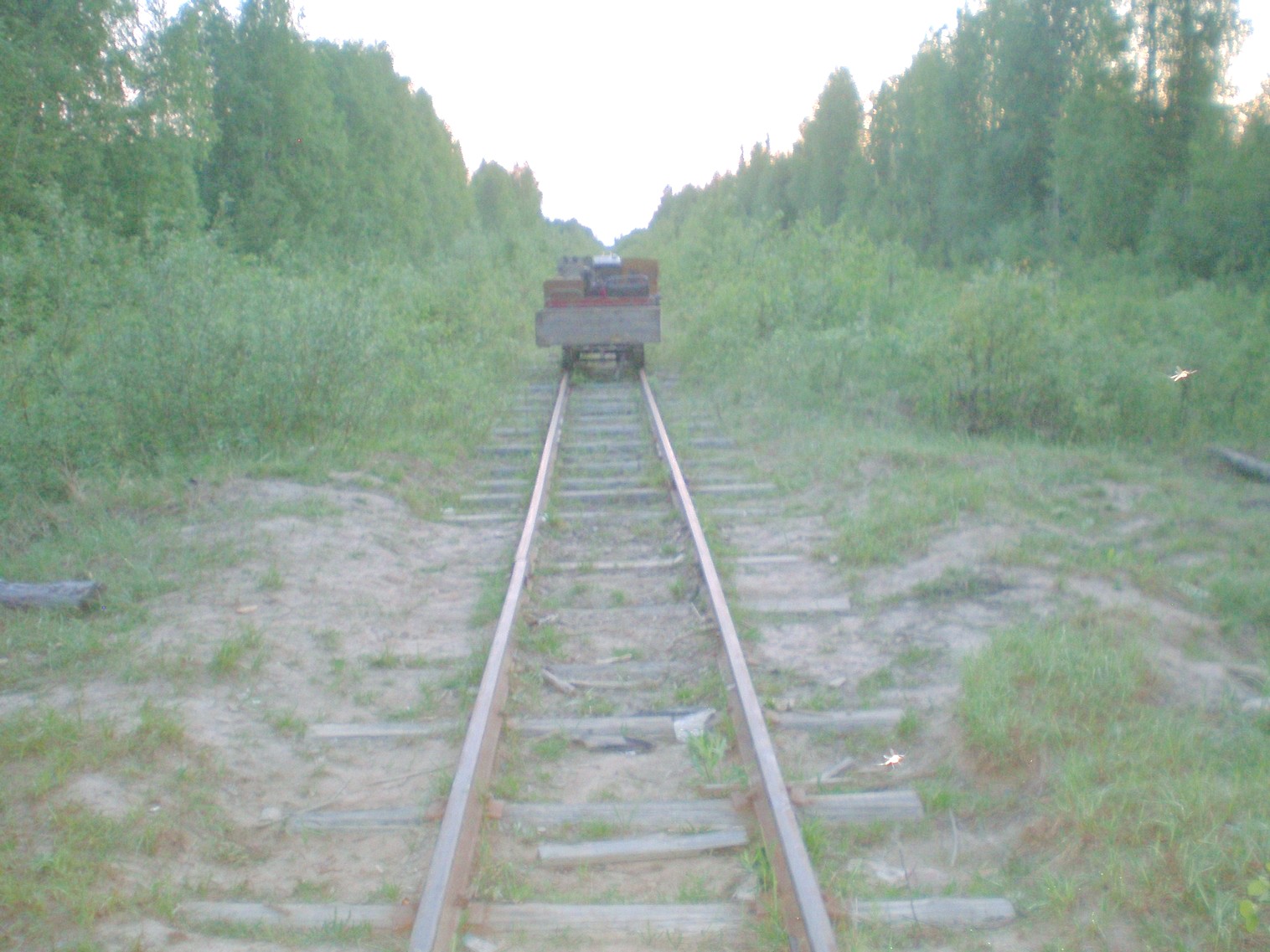 Пезмогская узкоколейная железная дорога  —  фотографии, сделанные в 2008 году (часть 6)