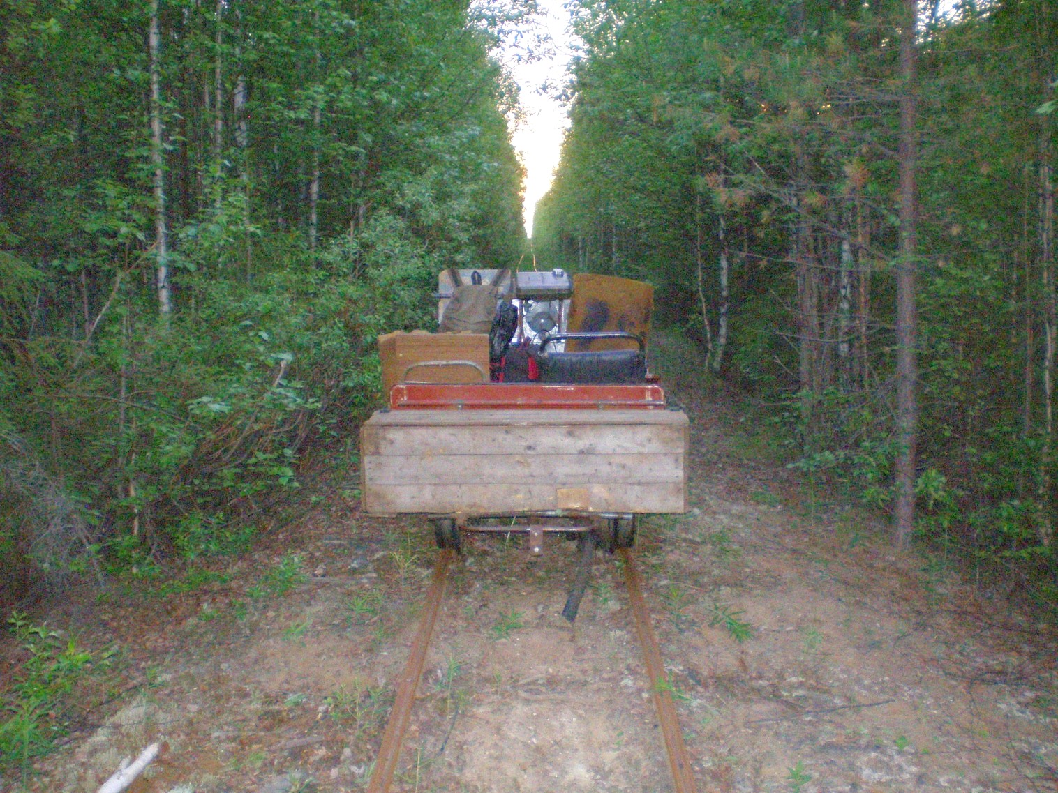 Пезмогская узкоколейная железная дорога  —  фотографии, сделанные в 2008 году (часть 7)