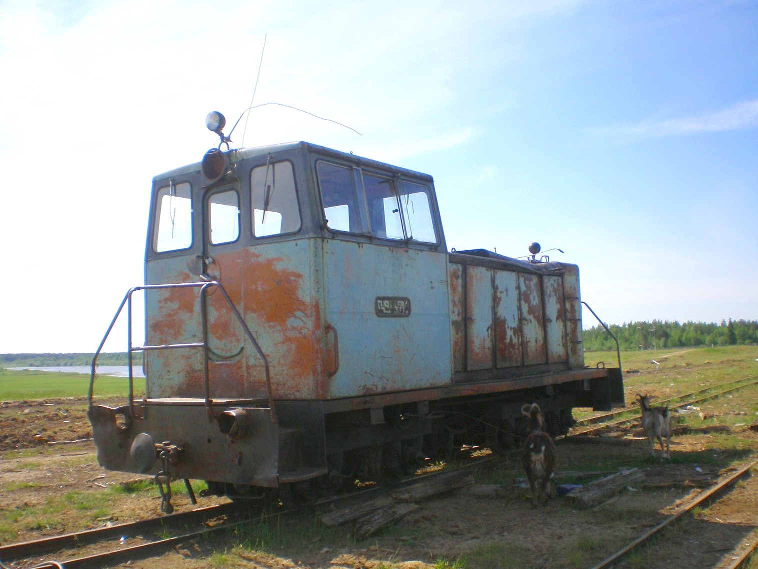 Пезмогская узкоколейная железная дорога  —  фотографии, сделанные в 2008 году (часть 2)