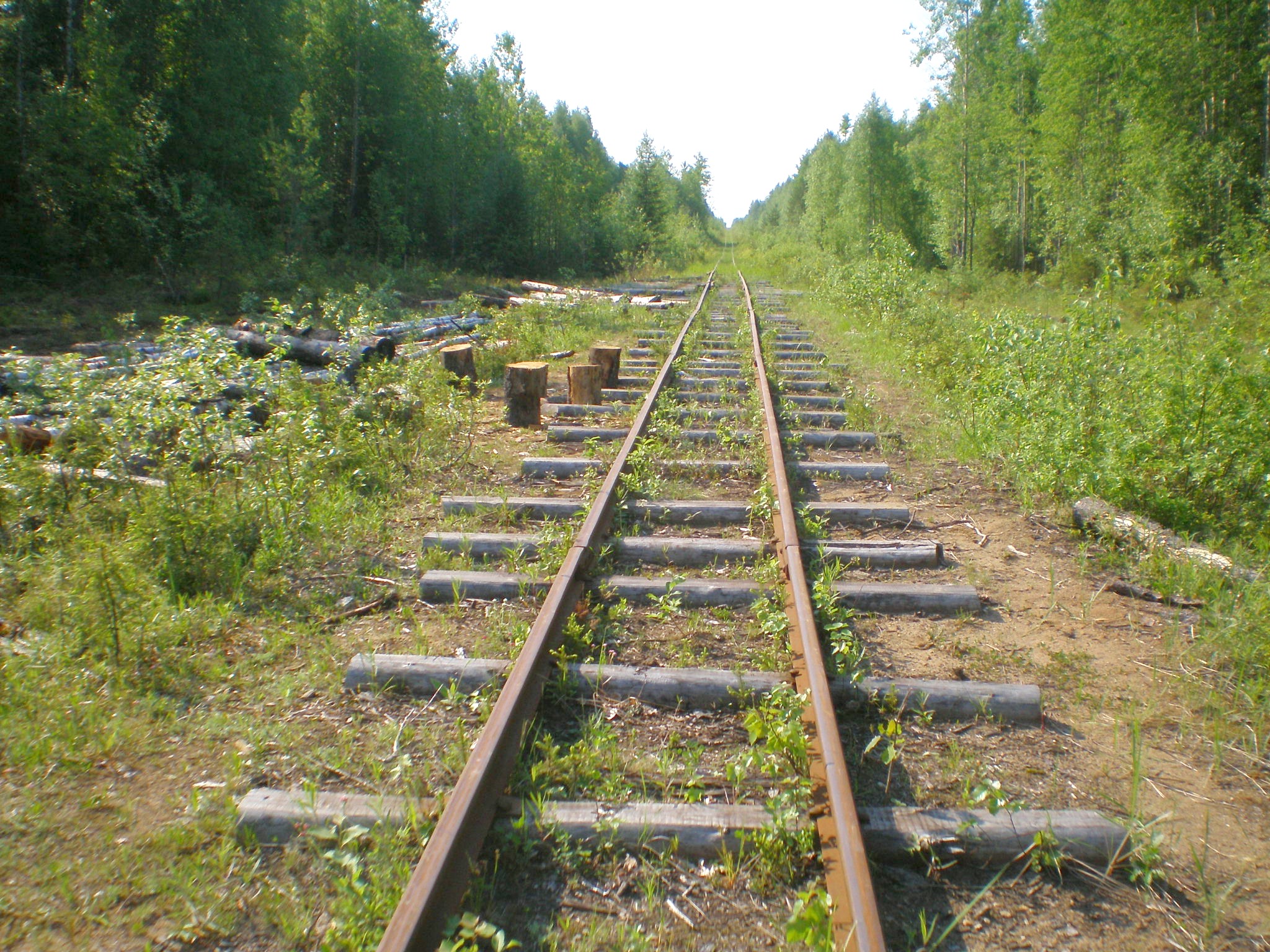 Пезмогская узкоколейная железная дорога  —  фотографии, сделанные в 2008 году (часть 14)