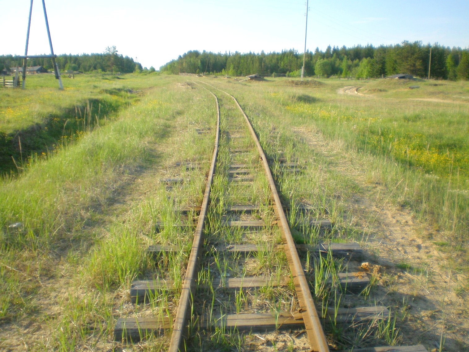 Пезмогская узкоколейная железная дорога  —  фотографии, сделанные в 2008 году (часть 4)