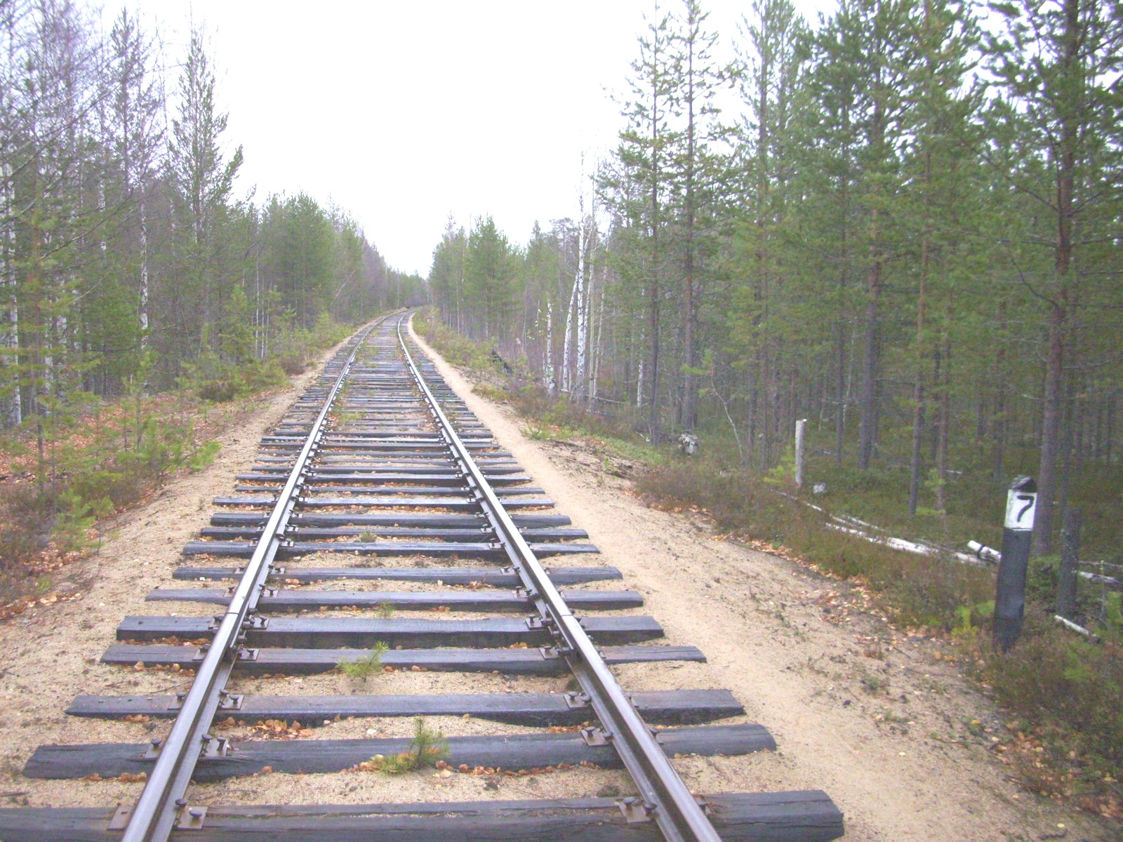 Железнодорожная линия Суоярви — Ледмозеро — Юшкозеро
  —  фотографии, сделанные в 2010 году (часть 6)