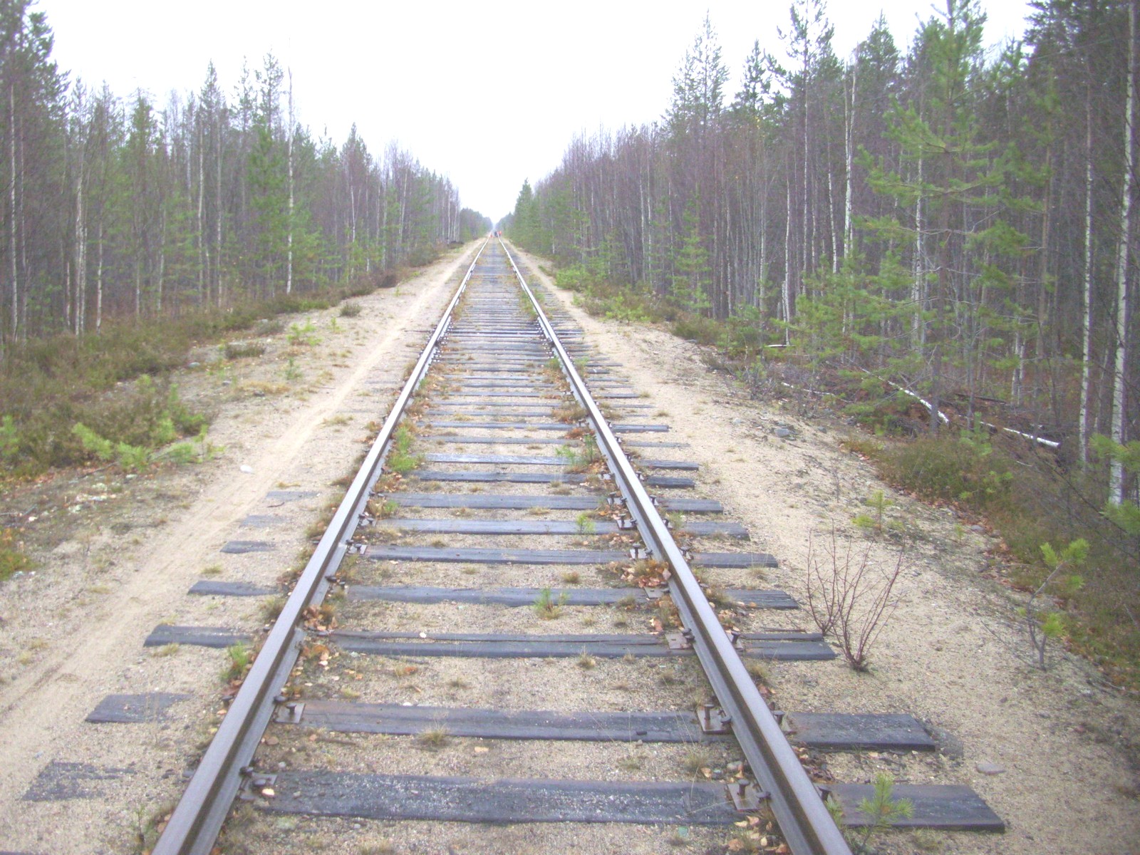 Железнодорожная линия Суоярви — Ледмозеро — Юшкозеро
  —  фотографии, сделанные в 2010 году (часть 7)