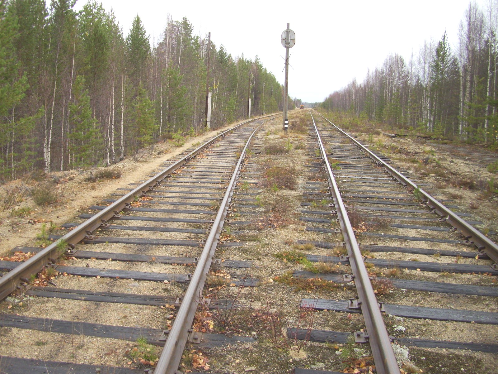 Железнодорожная линия Суоярви — Ледмозеро — Юшкозеро
  —  фотографии, сделанные в 2010 году (часть 8)