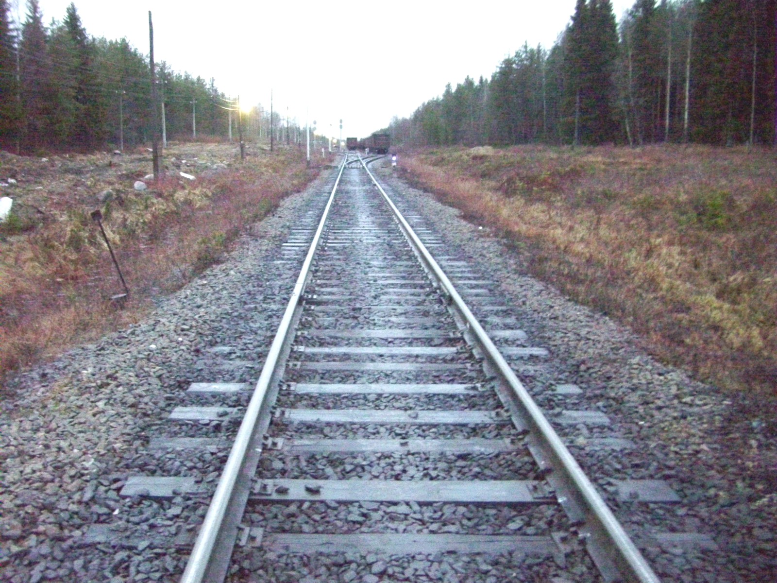 Железнодорожная линия Суоярви — Ледмозеро — Юшкозеро
  —  фотографии, сделанные в 2011 году (часть 1)