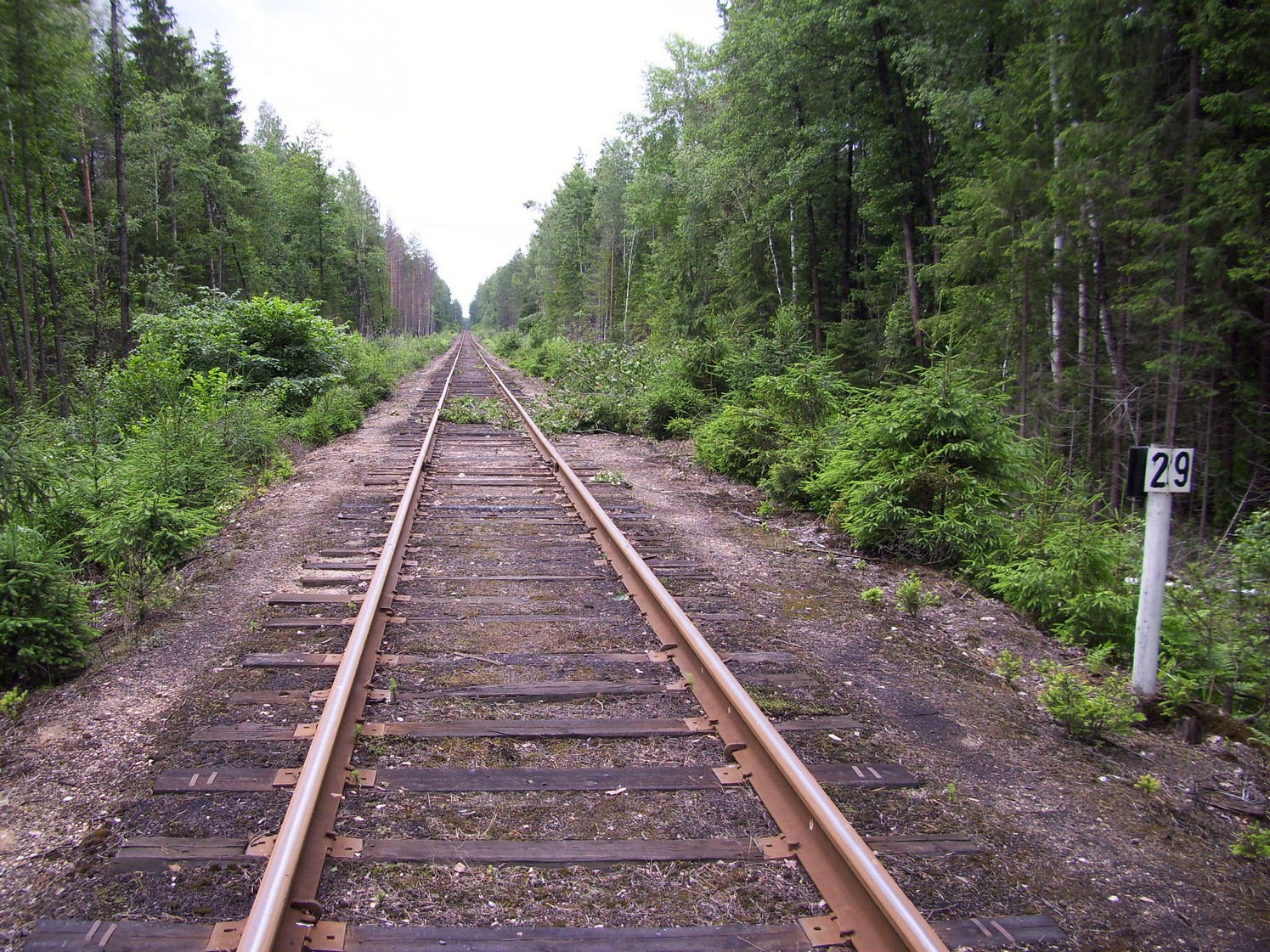 Железнодорожная линия Кривандино  —  Рязановка  —  фотографии, сделанные в 2010 году (часть 14)