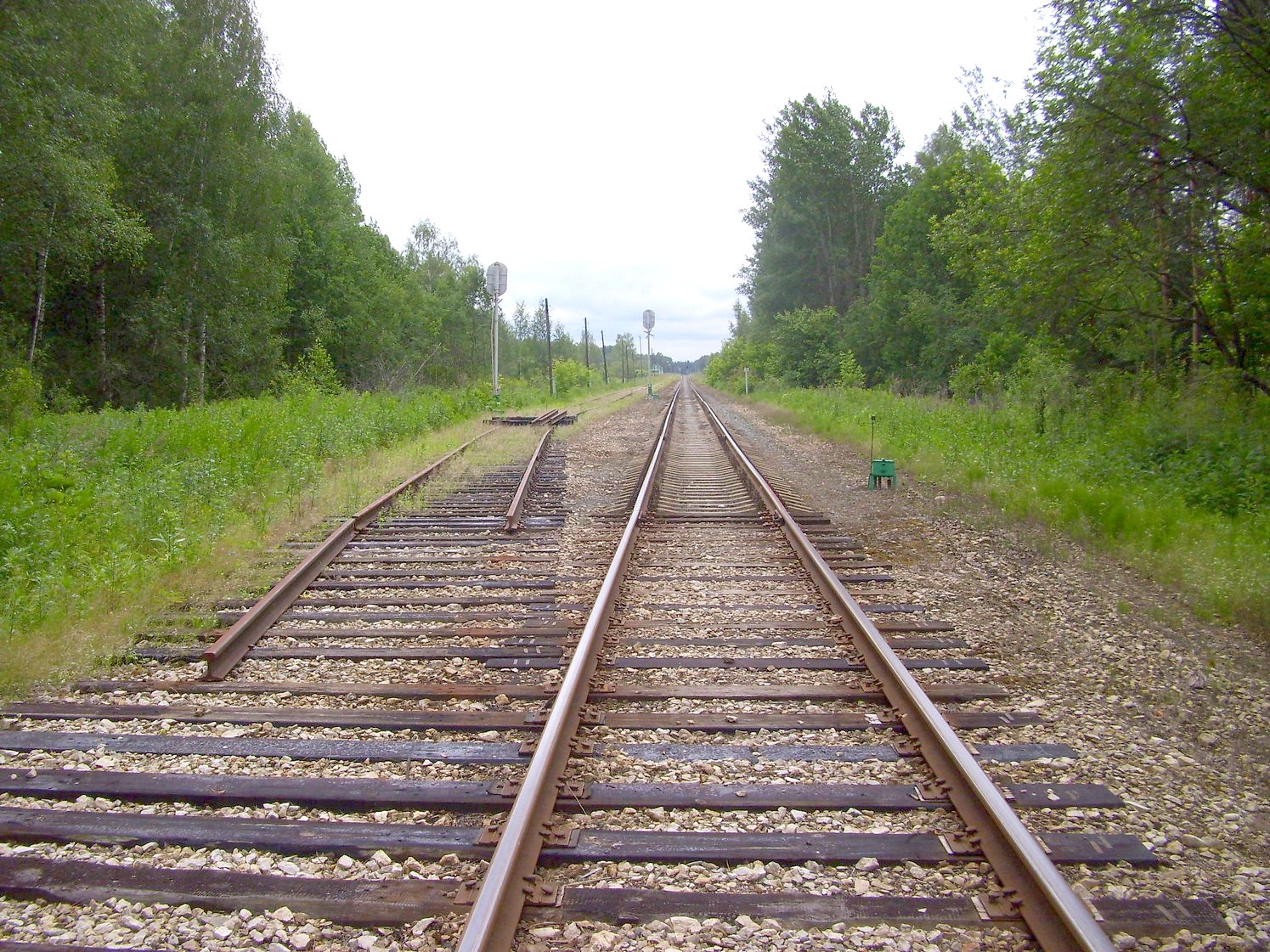 Железнодорожная линия Кривандино  —  Рязановка  —  фотографии, сделанные в 2010 году (часть 17)